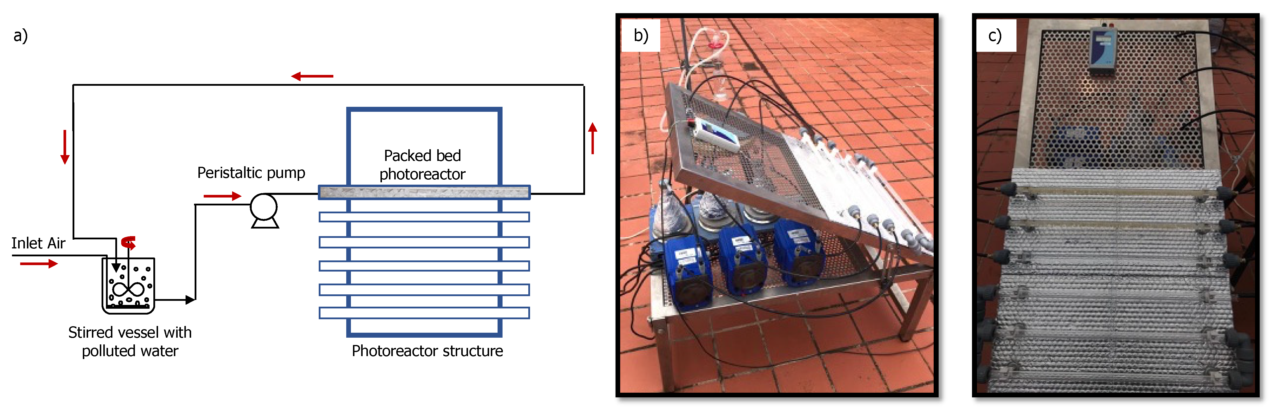 Catalysts 13 01023 g008