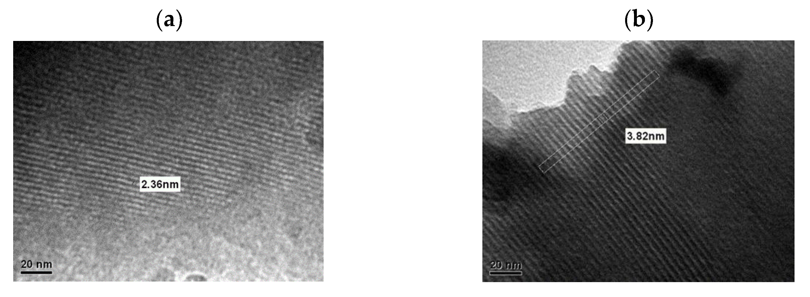 Catalysts 13 01024 g004