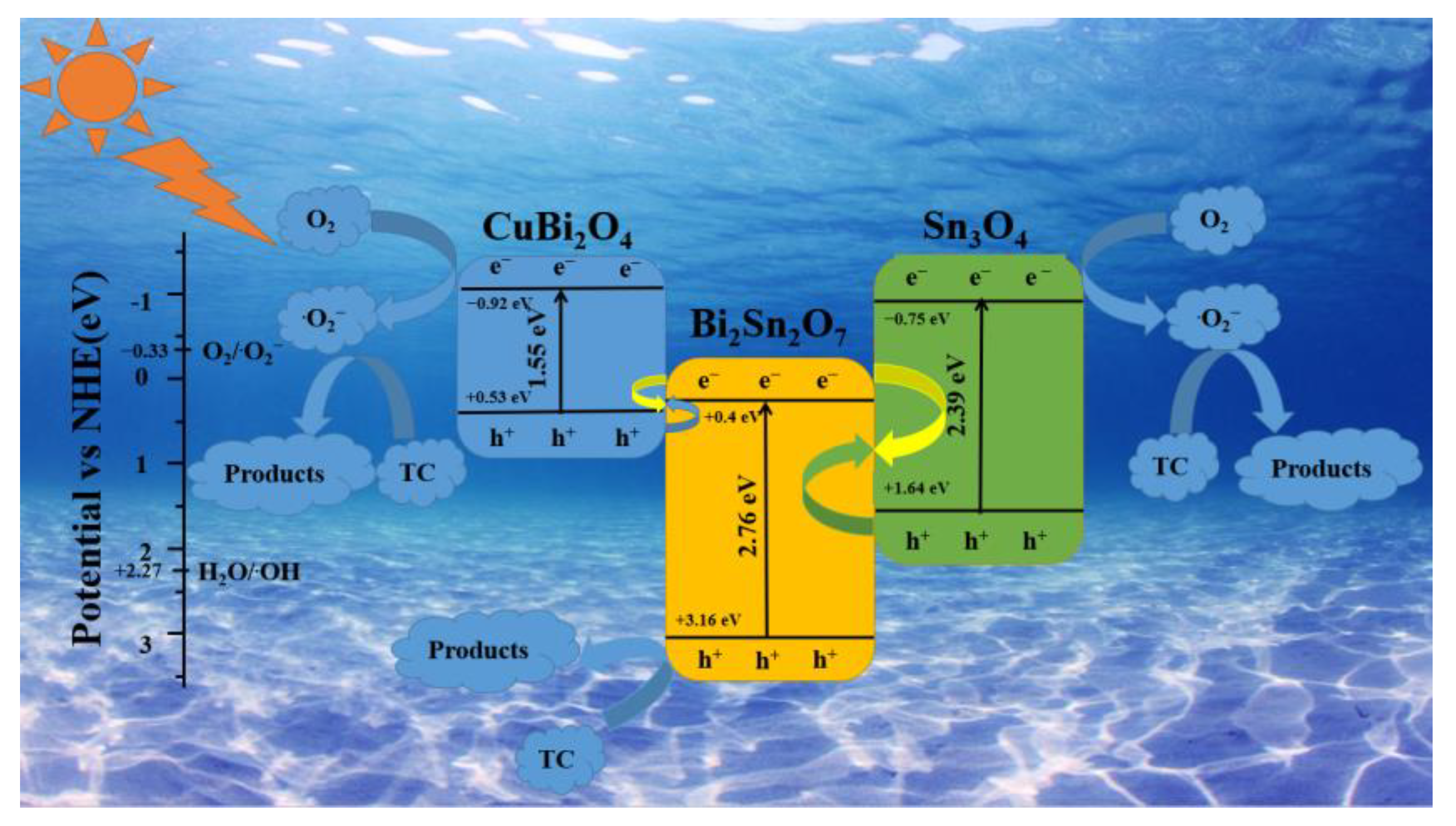 Catalysts 13 01028 g007