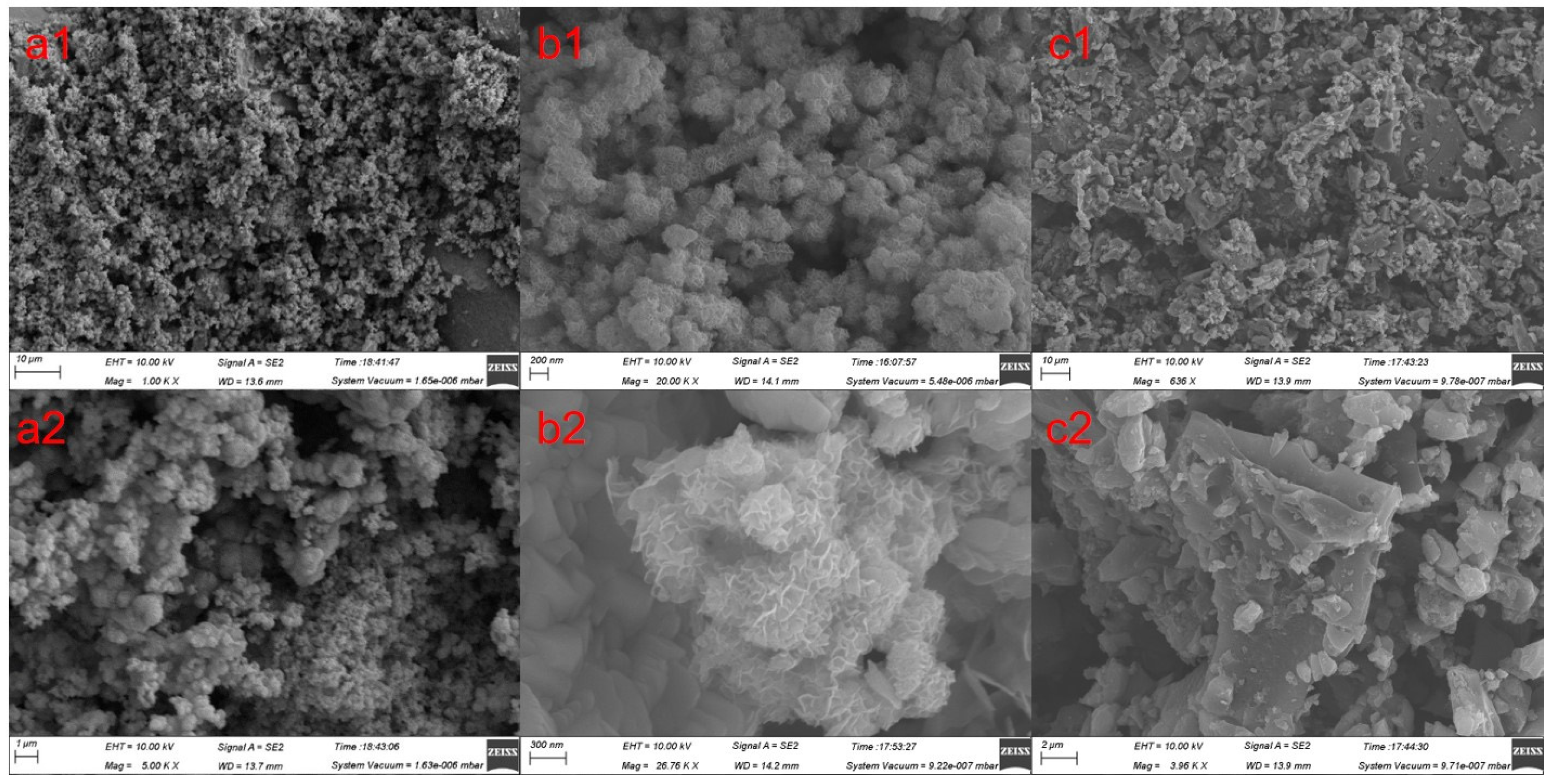 Catalysts 13 01030 g002 Catalysts 13 01030 g002