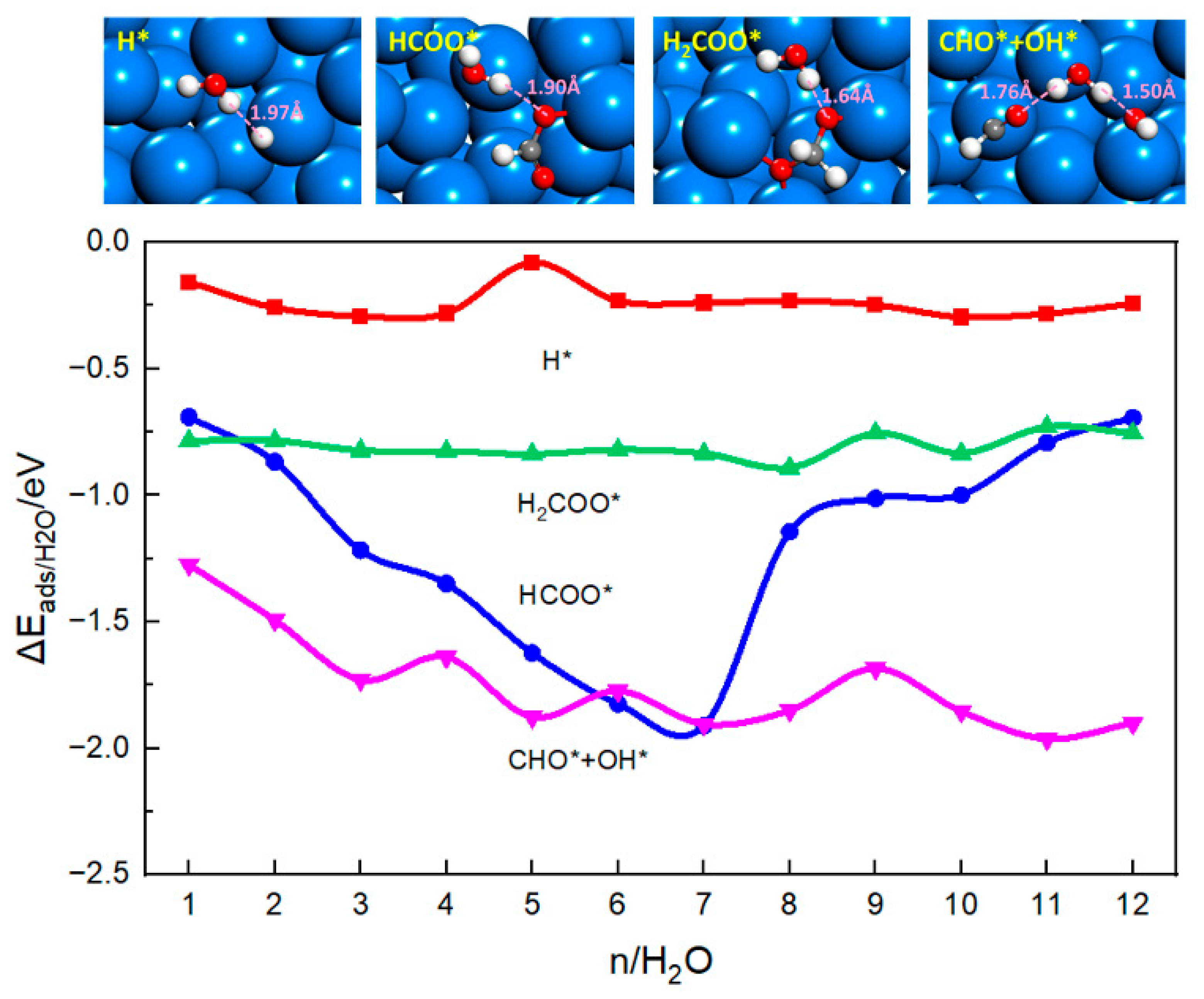 Catalysts 13 01033 g001 Catalysts 13 01033 g001