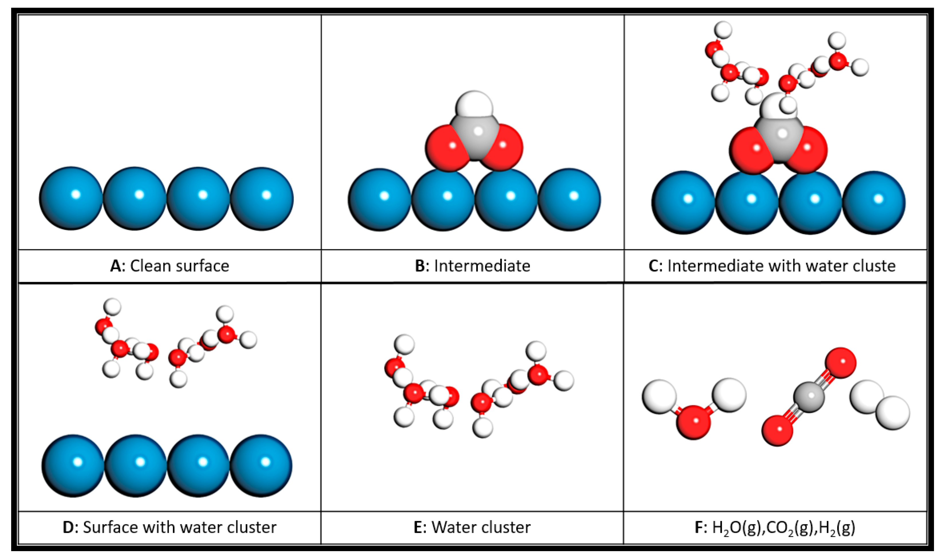 Catalysts 13 01033 g007 Catalysts 13 01033 g007