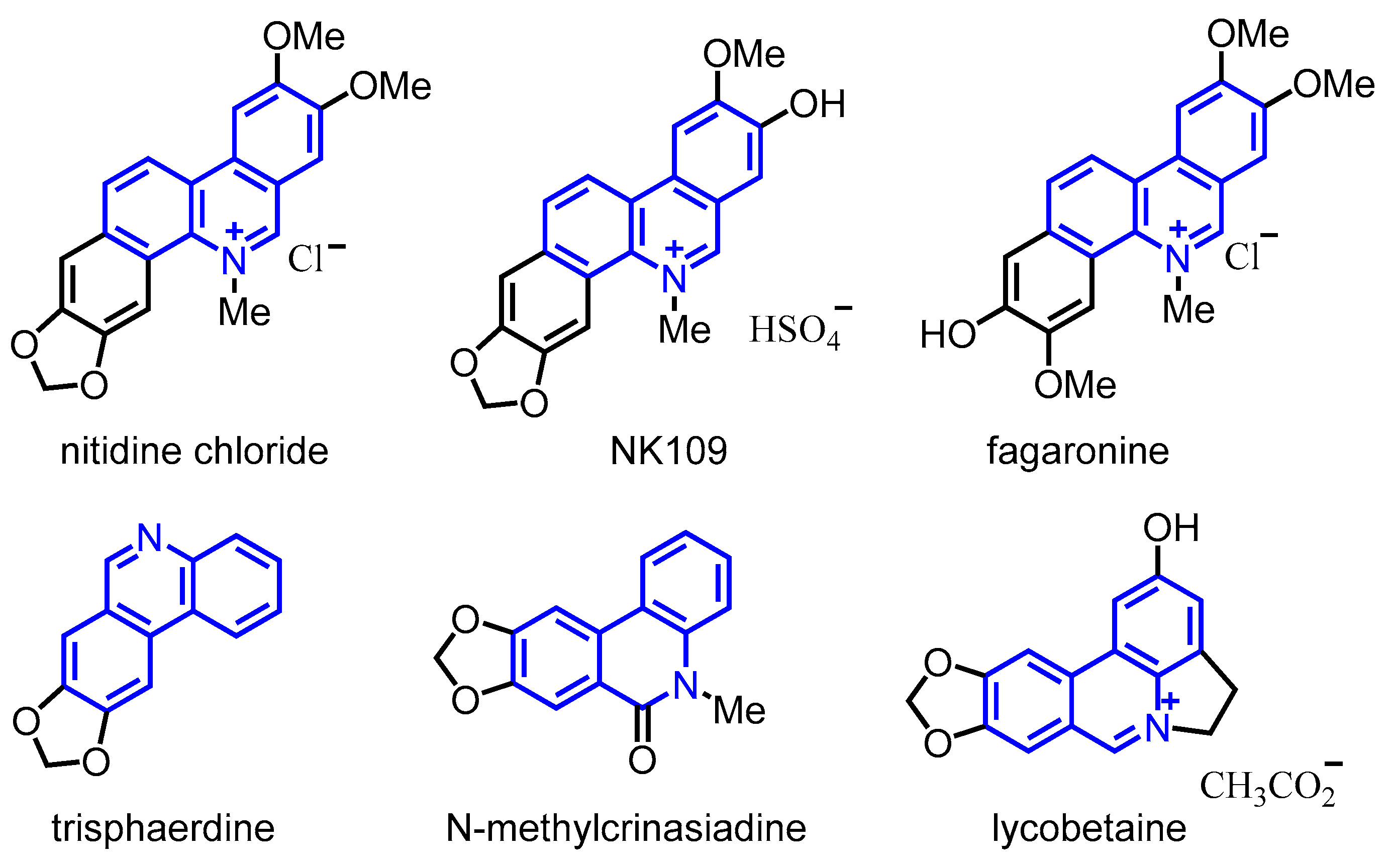 Catalysts 13 01036 g001