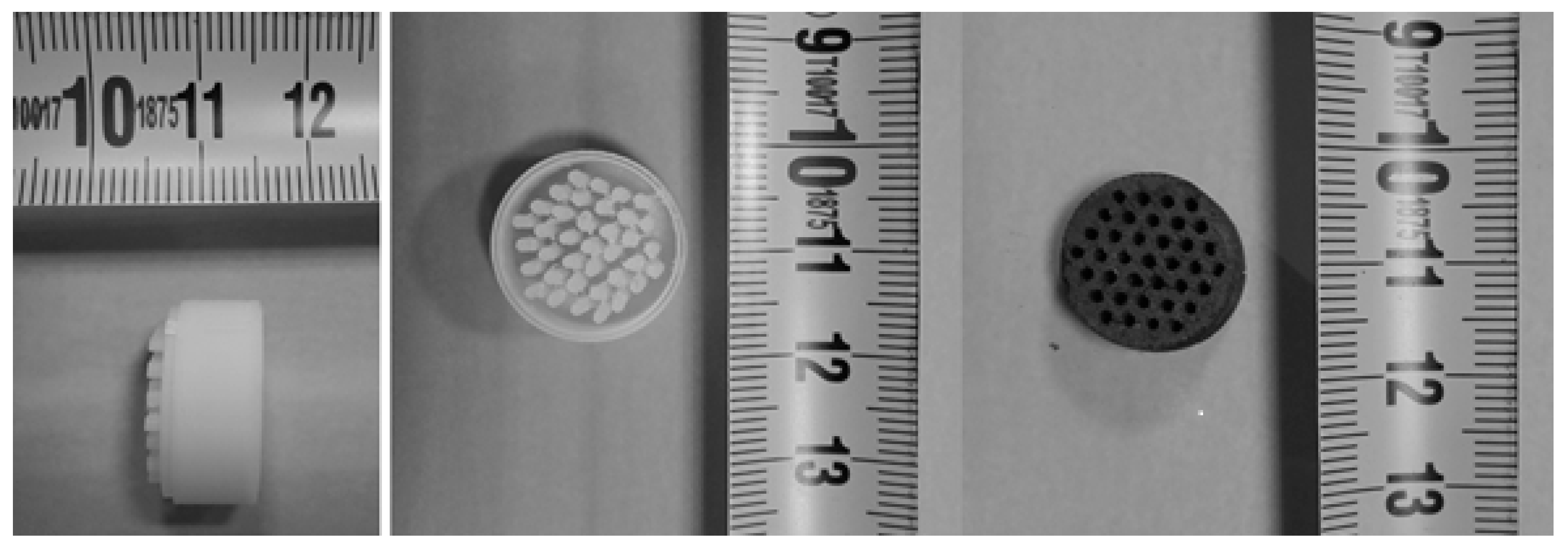 Catalysts 13 01039 g002
