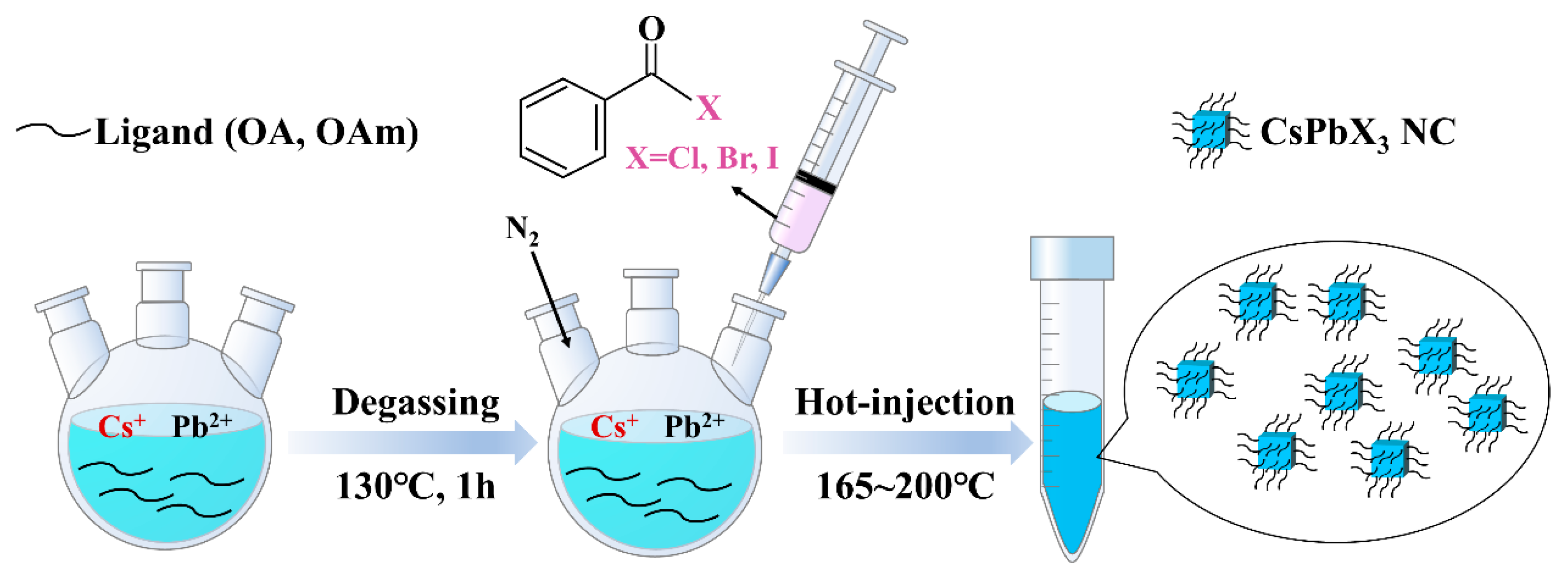 Catalysts 13 01041 sch001