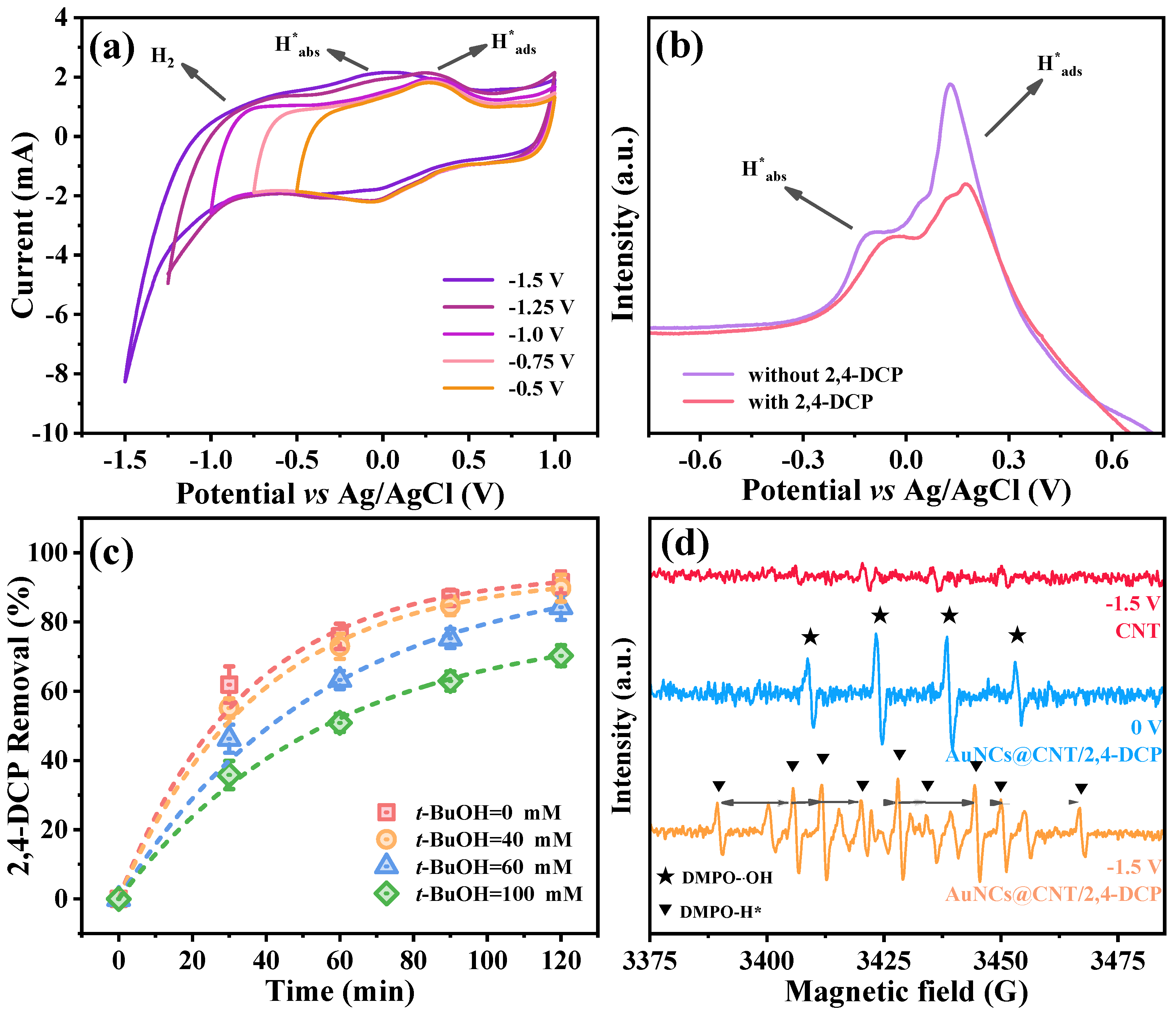 Catalysts 13 01045 g002