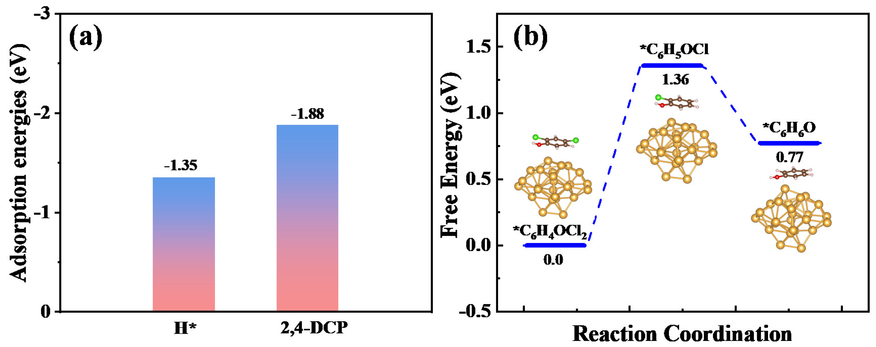 Catalysts 13 01045 g003