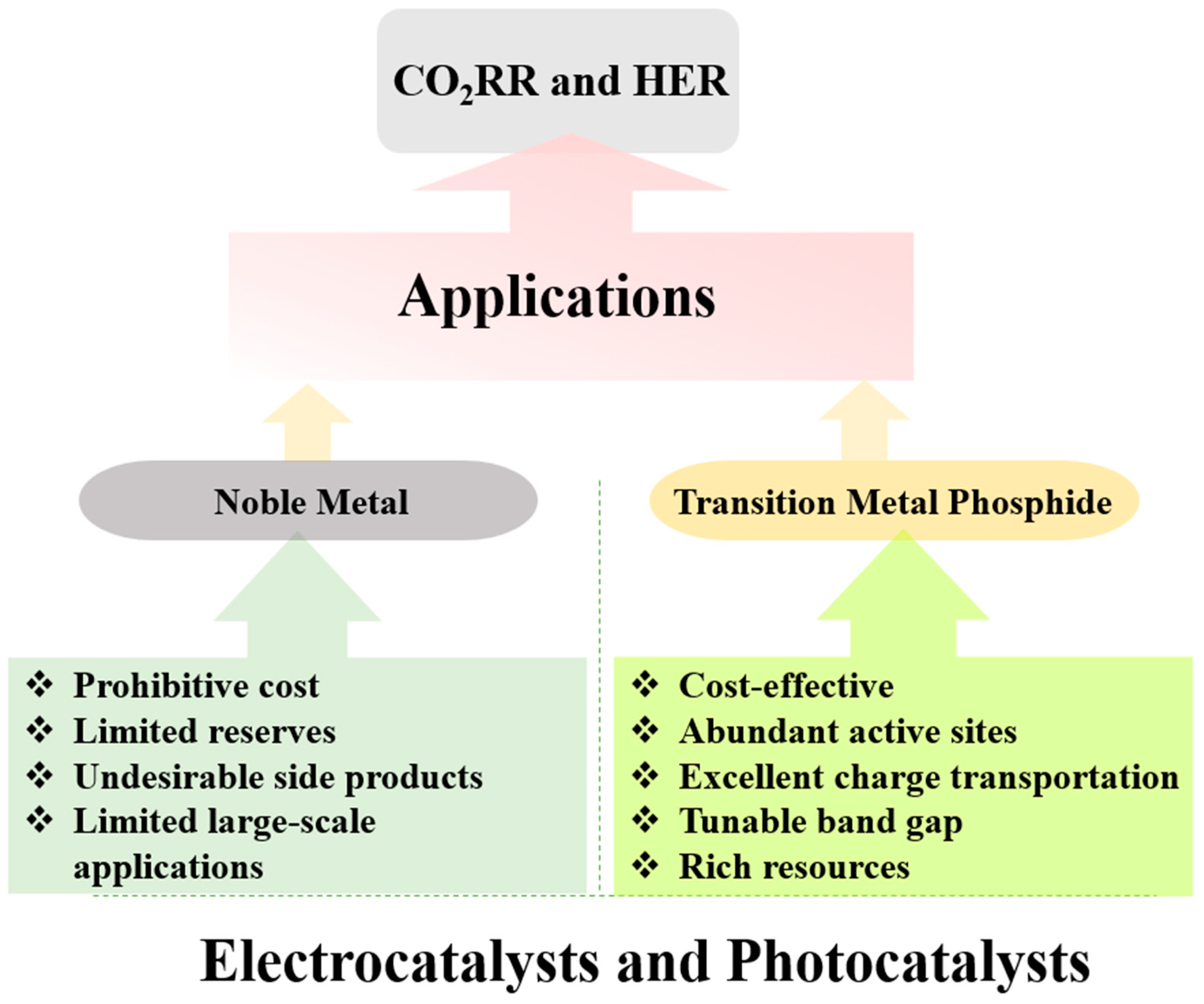 Catalysts 13 01046 g002