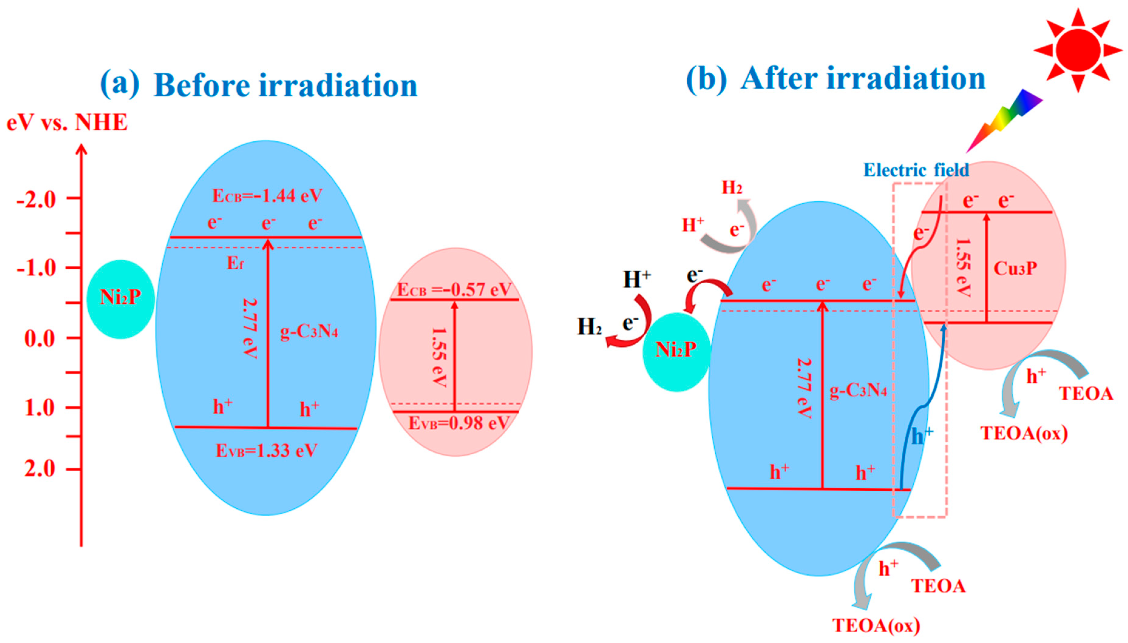 Catalysts 13 01046 g007