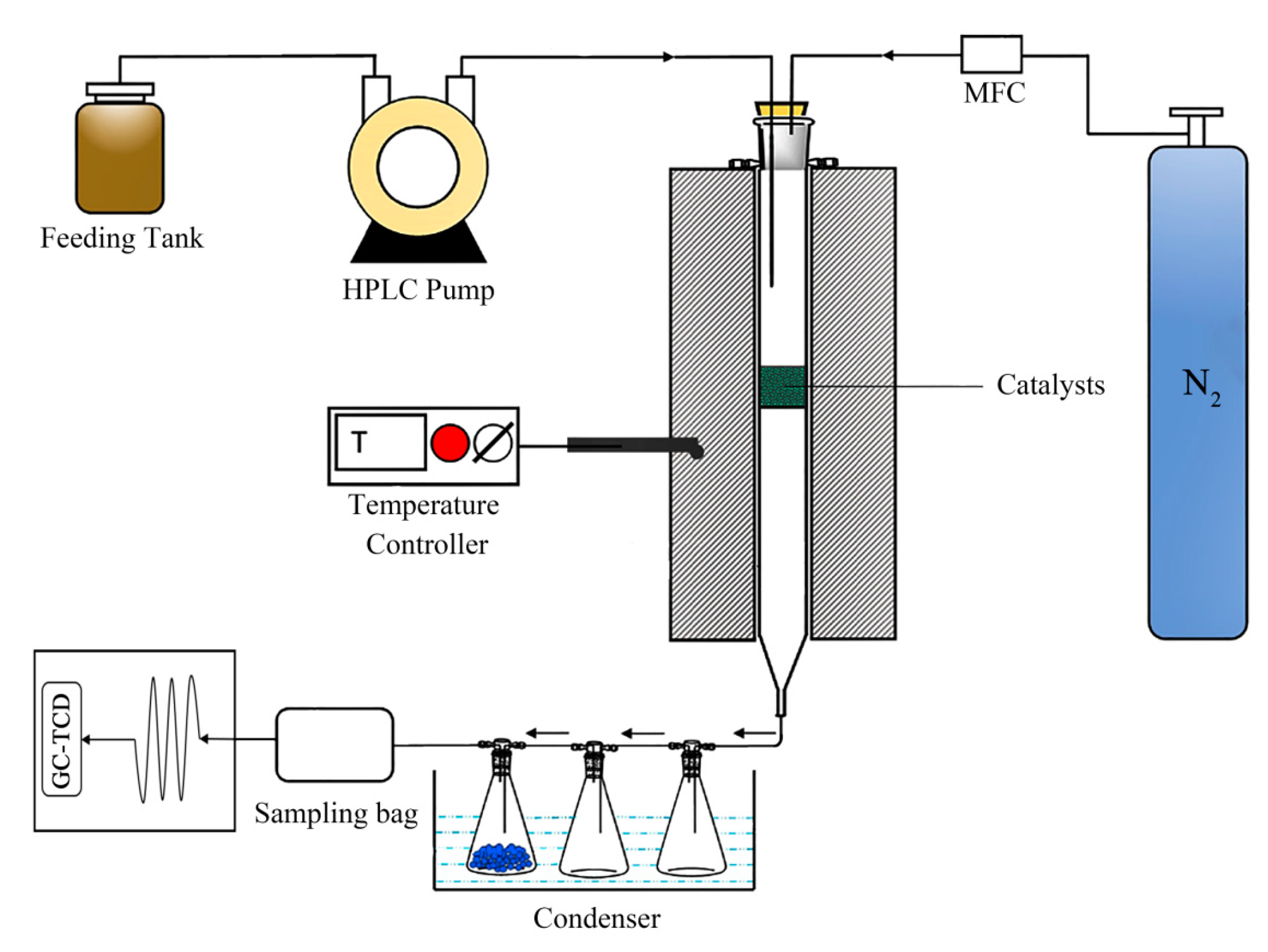 Catalysts 13 01047 g011