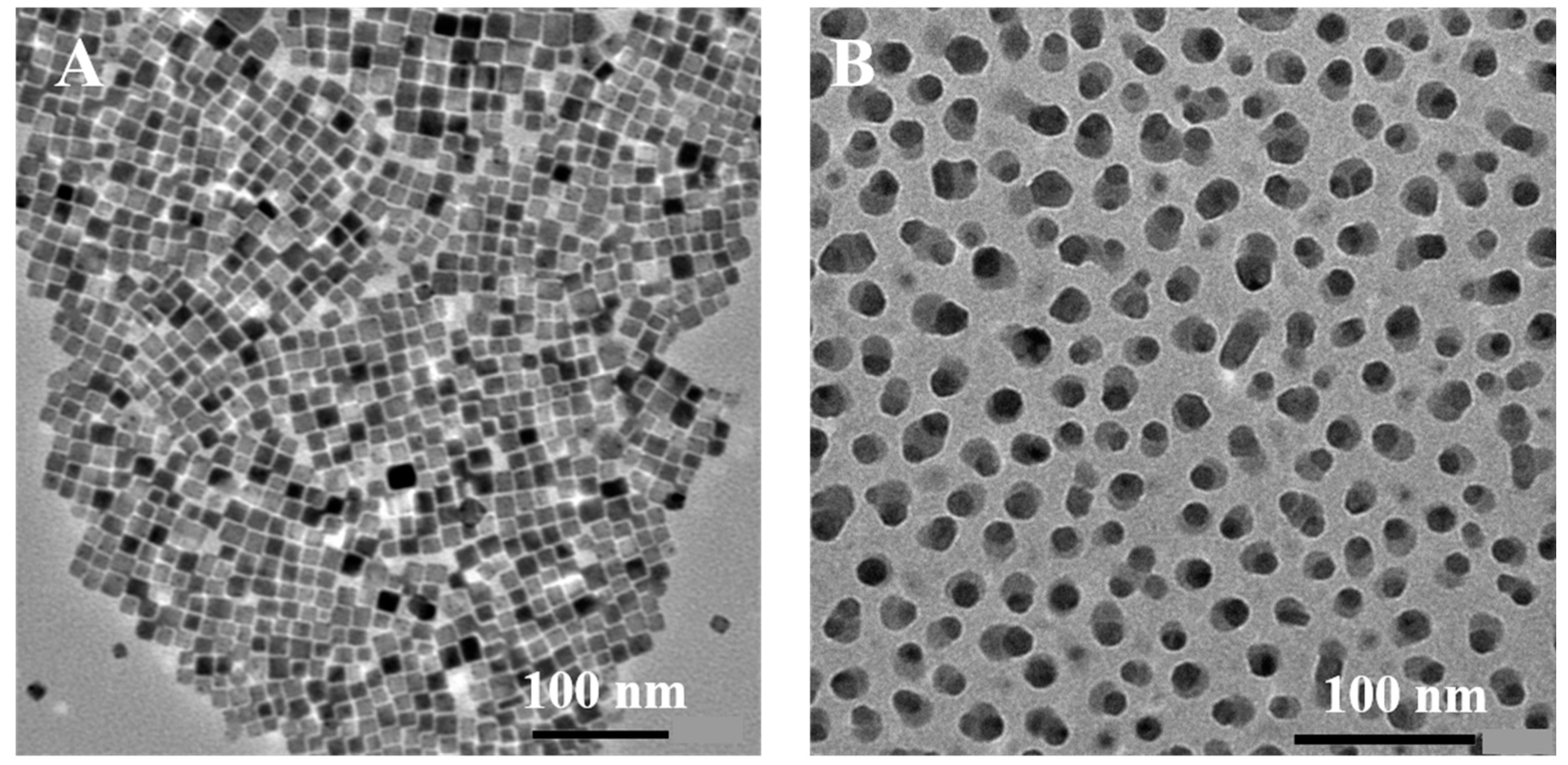 Catalysts 13 01048 g001