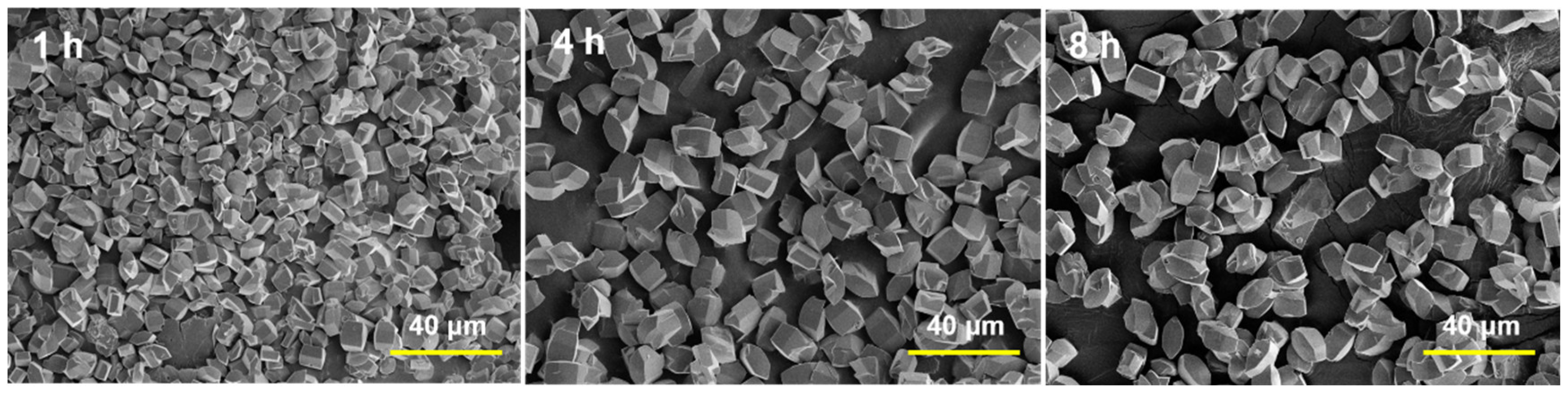 Catalysts 13 01049 g001 Catalysts 13 01049 g001
