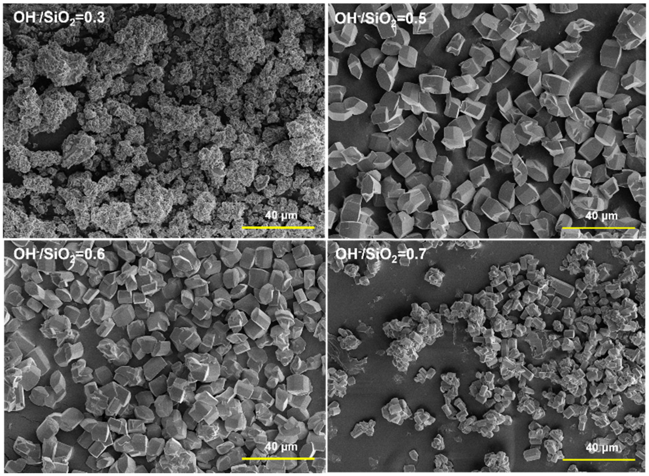 Catalysts 13 01049 g004 Catalysts 13 01049 g004