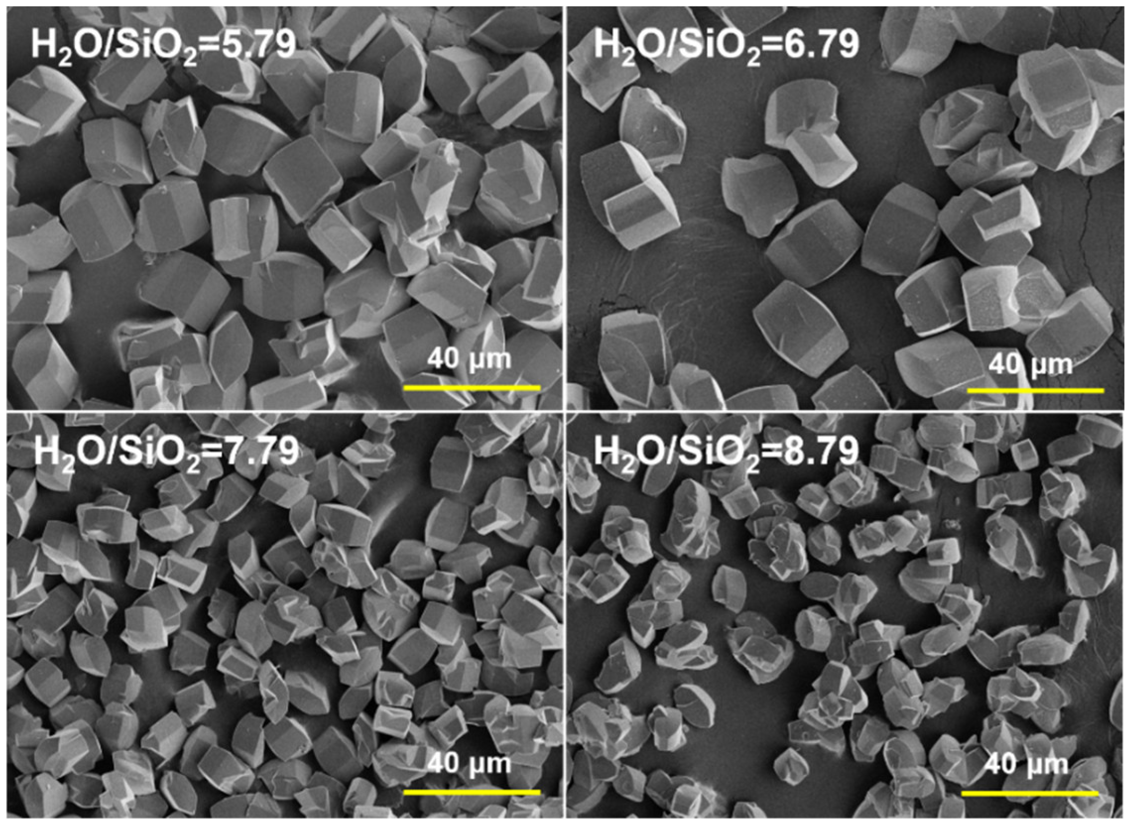 Catalysts 13 01049 g005 Catalysts 13 01049 g005