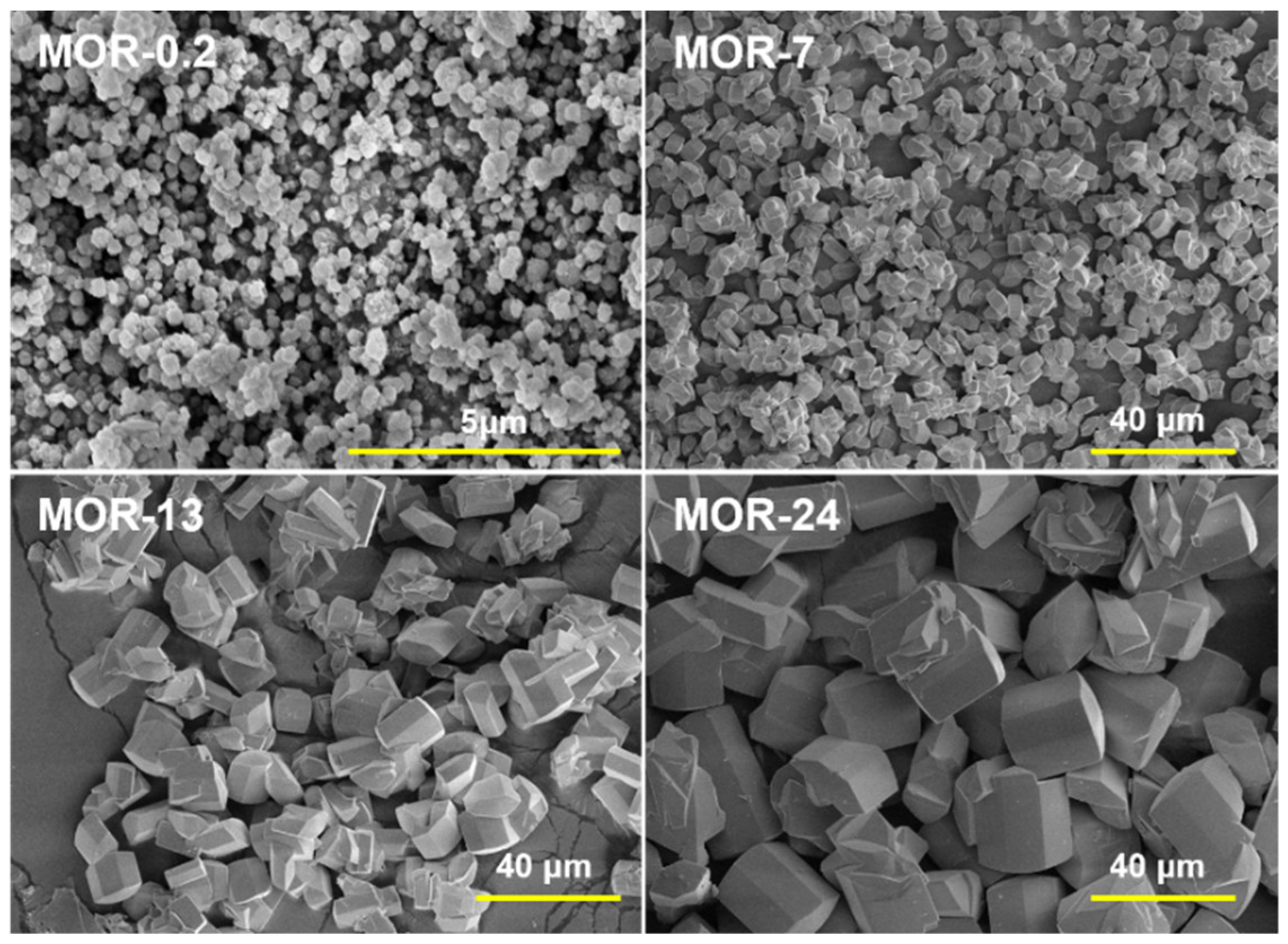Catalysts 13 01049 g006 Catalysts 13 01049 g006
