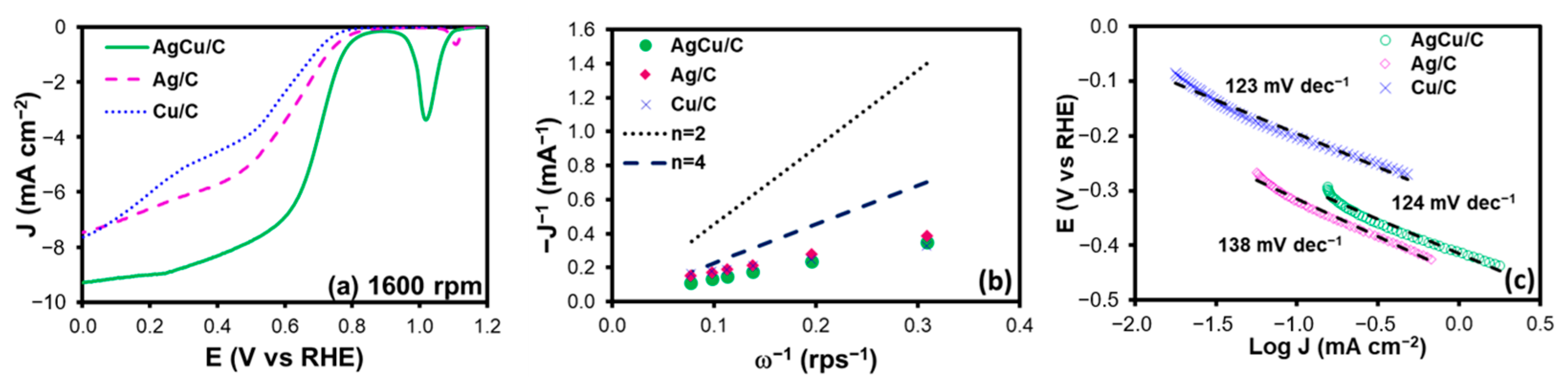 Catalysts 13 01050 g003