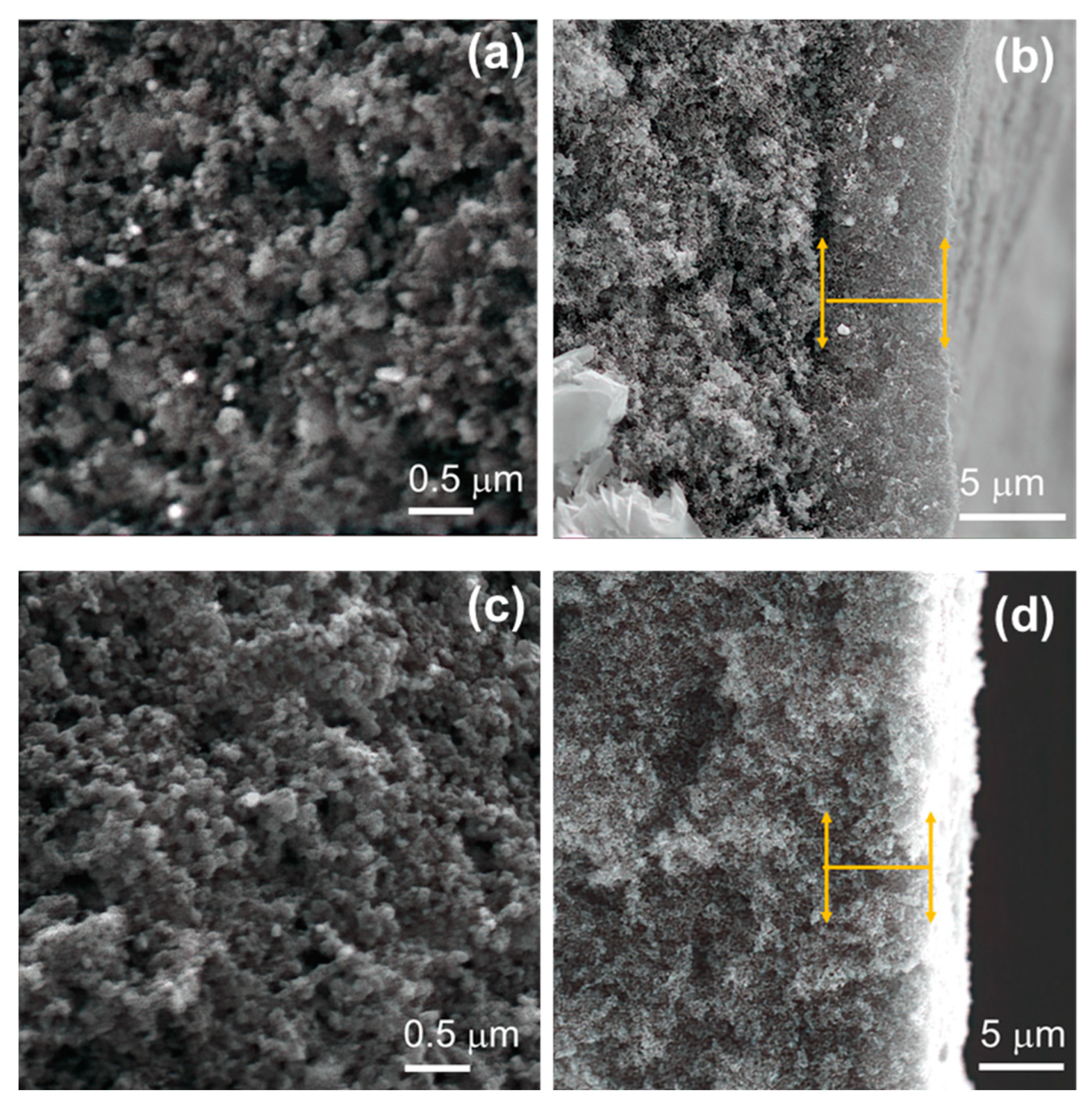 Catalysts 13 01050 g004