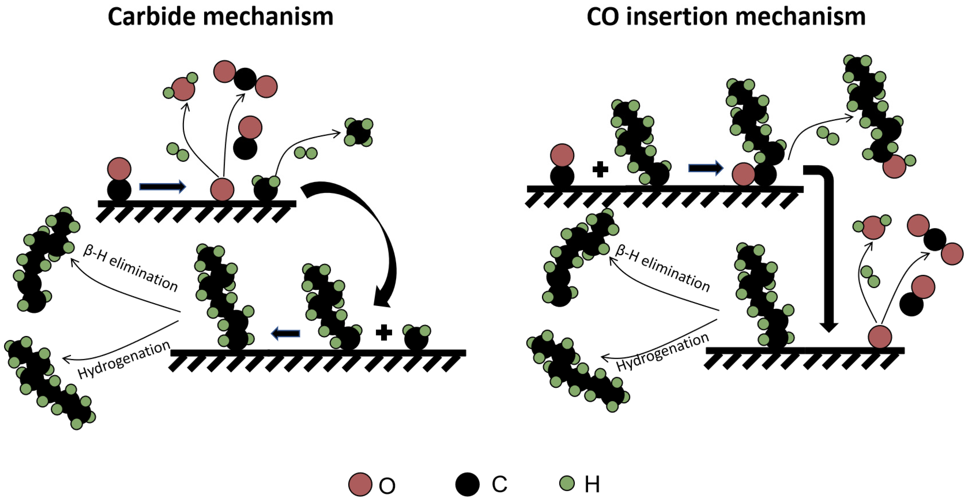 Catalysts 13 01052 g005 Catalysts 13 01052 g005