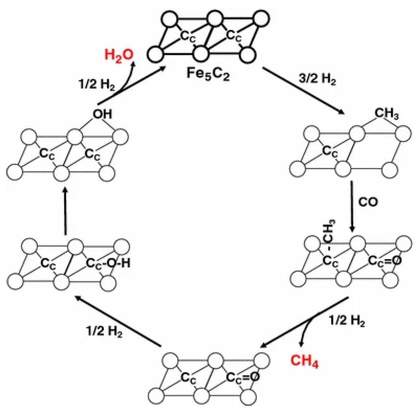 Catalysts 13 01052 g007 Catalysts 13 01052 g007