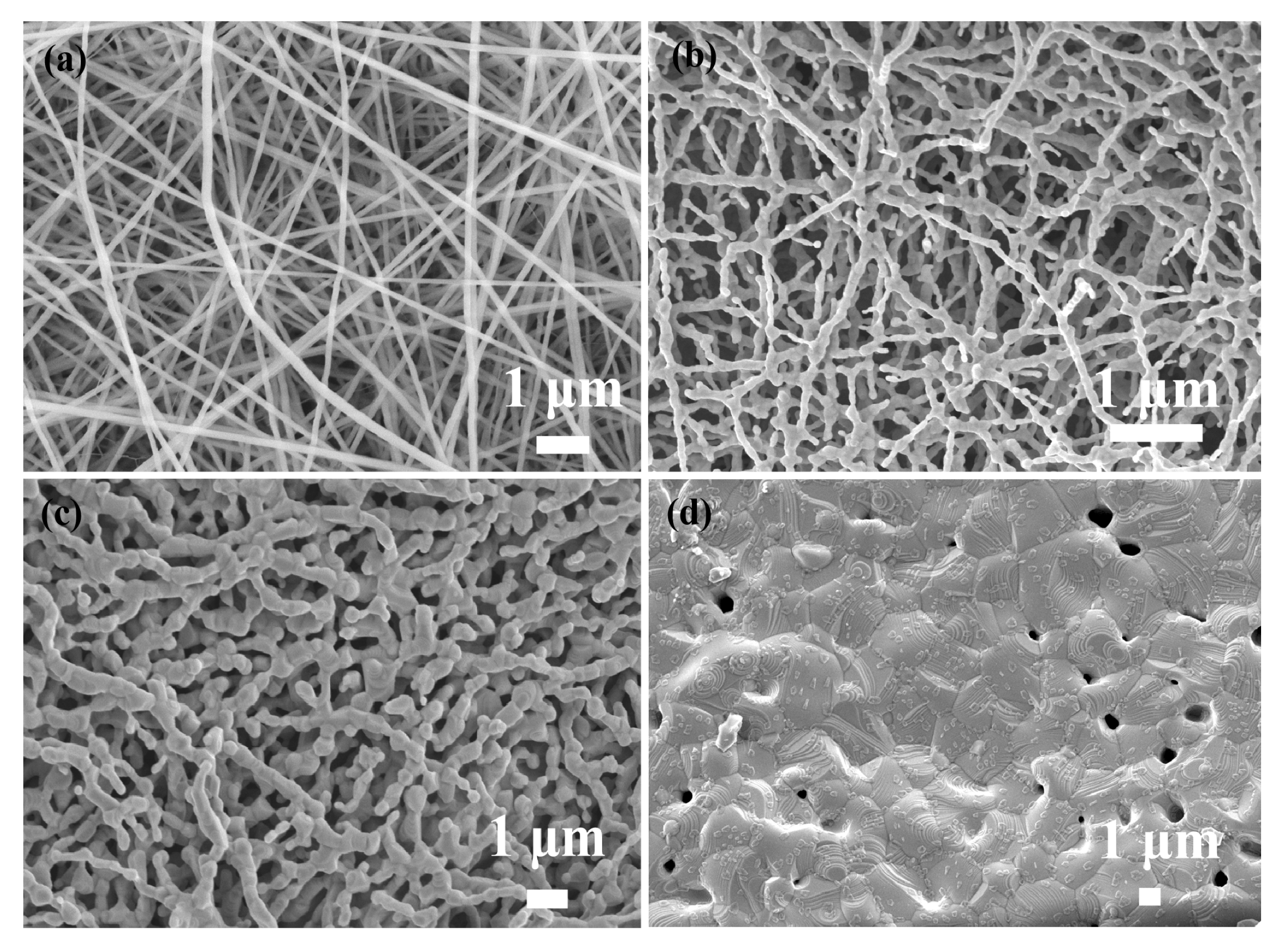 Catalysts 13 01054 g003