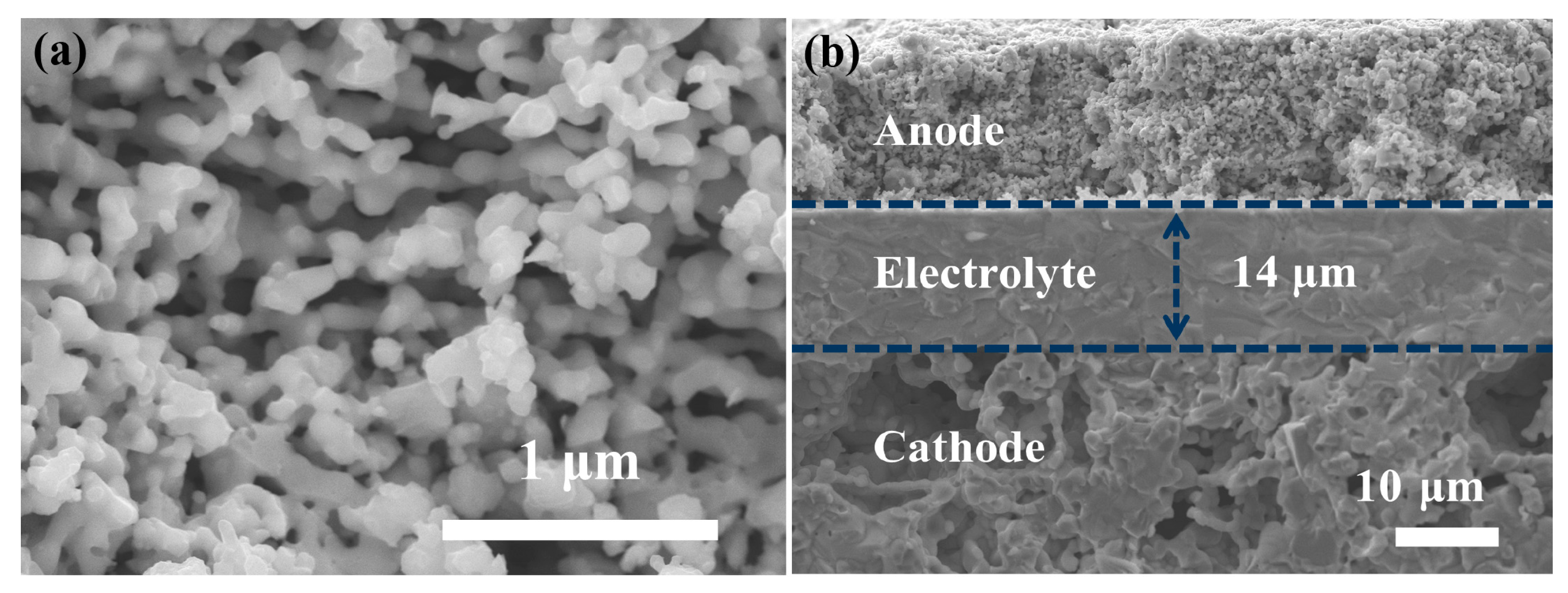 Catalysts 13 01054 g004