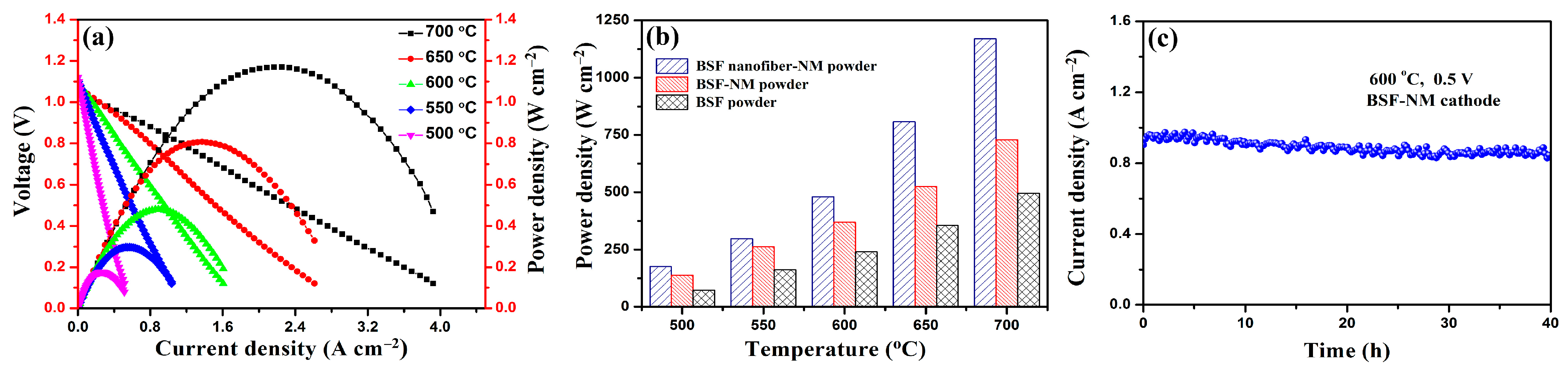 Catalysts 13 01054 g006