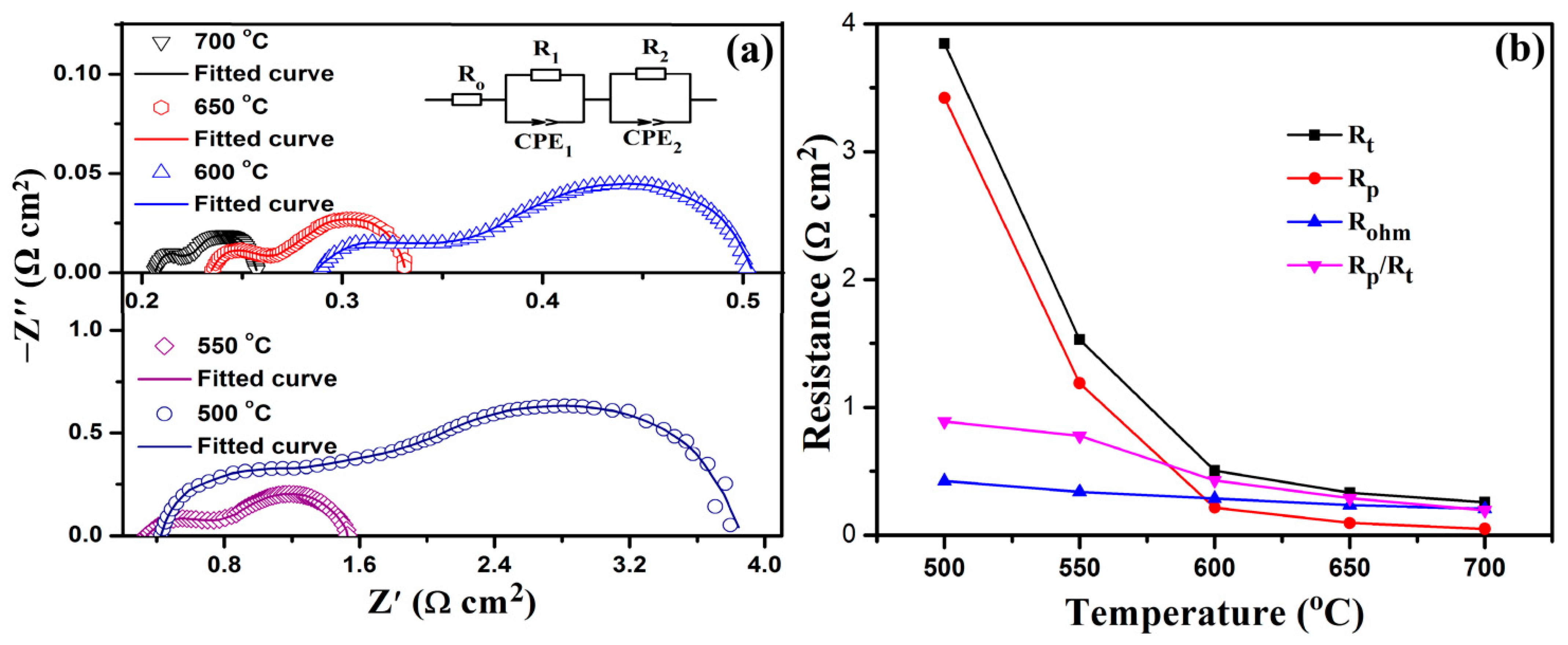 Catalysts 13 01054 g007