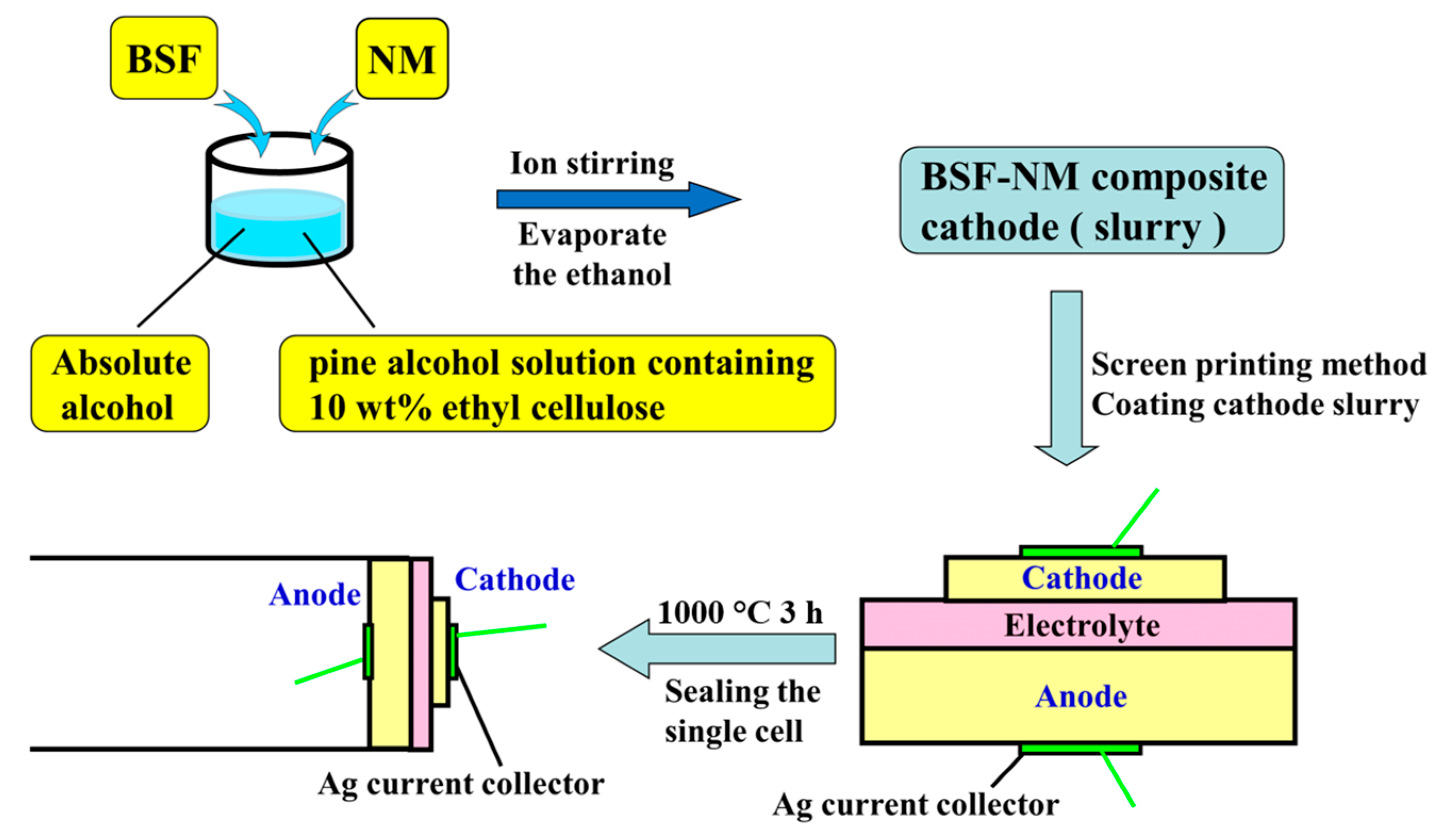 Catalysts 13 01054 g008