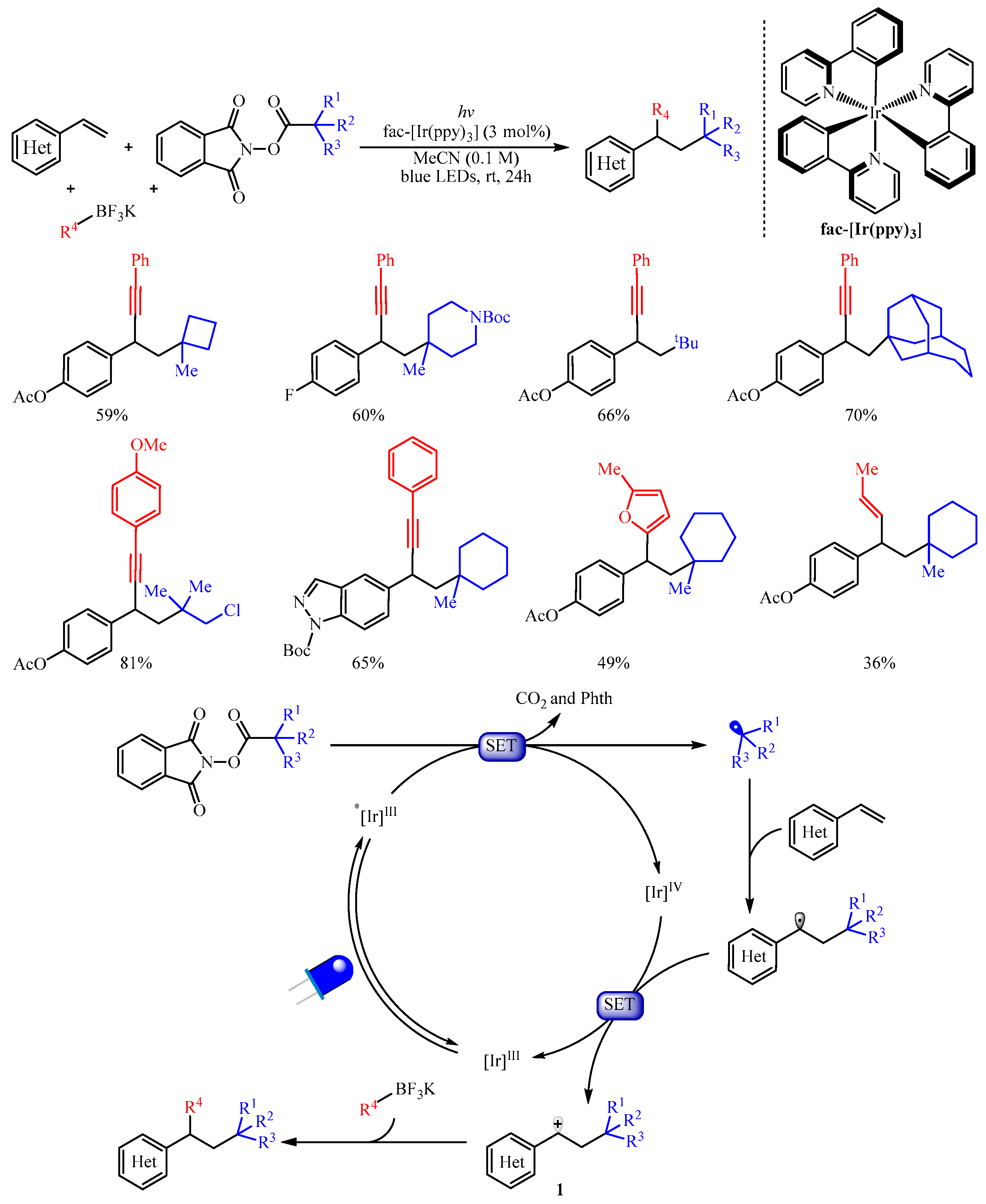 Catalysts 13 01056 sch002 550