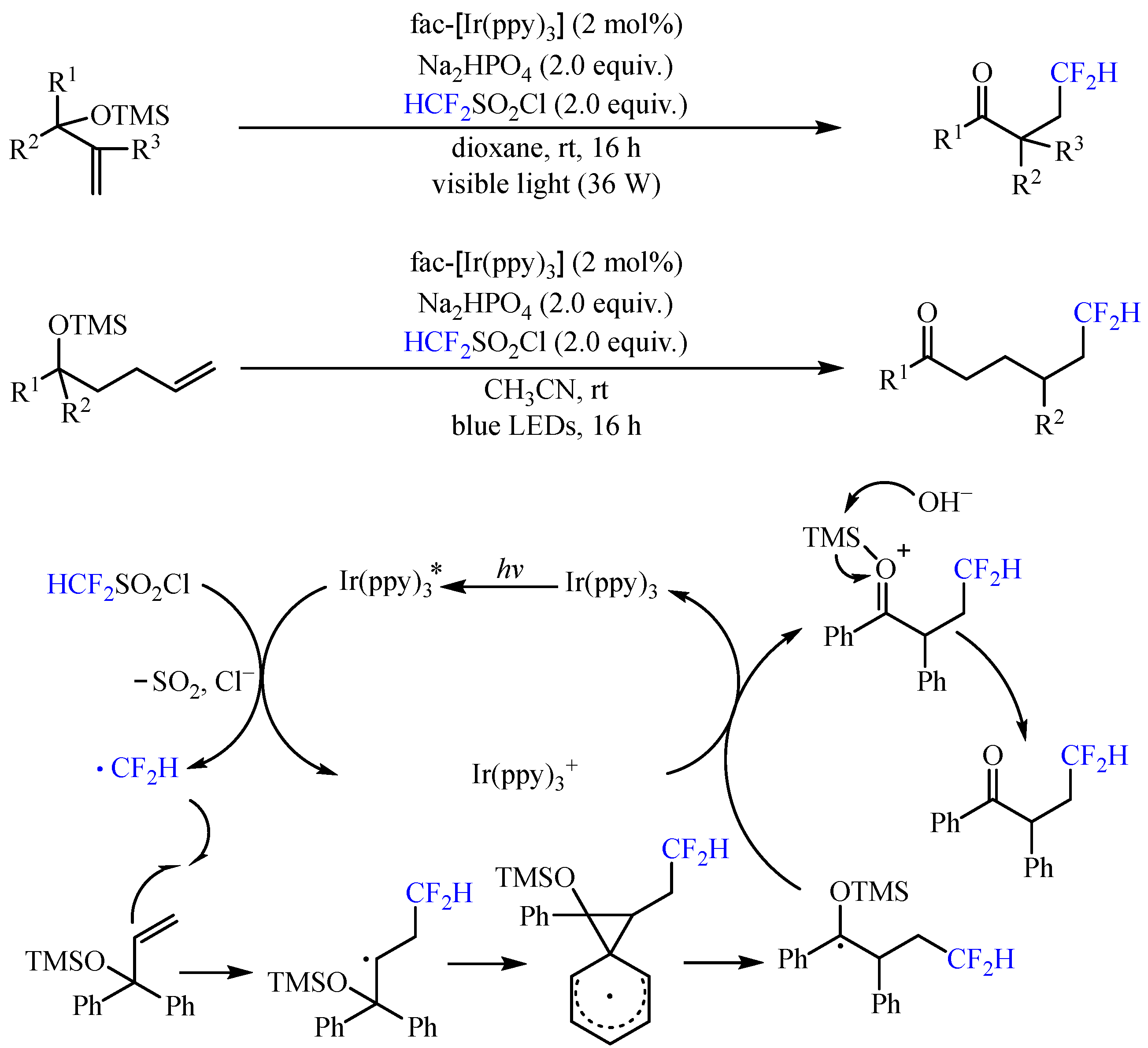 Catalysts 13 01056 sch005 550