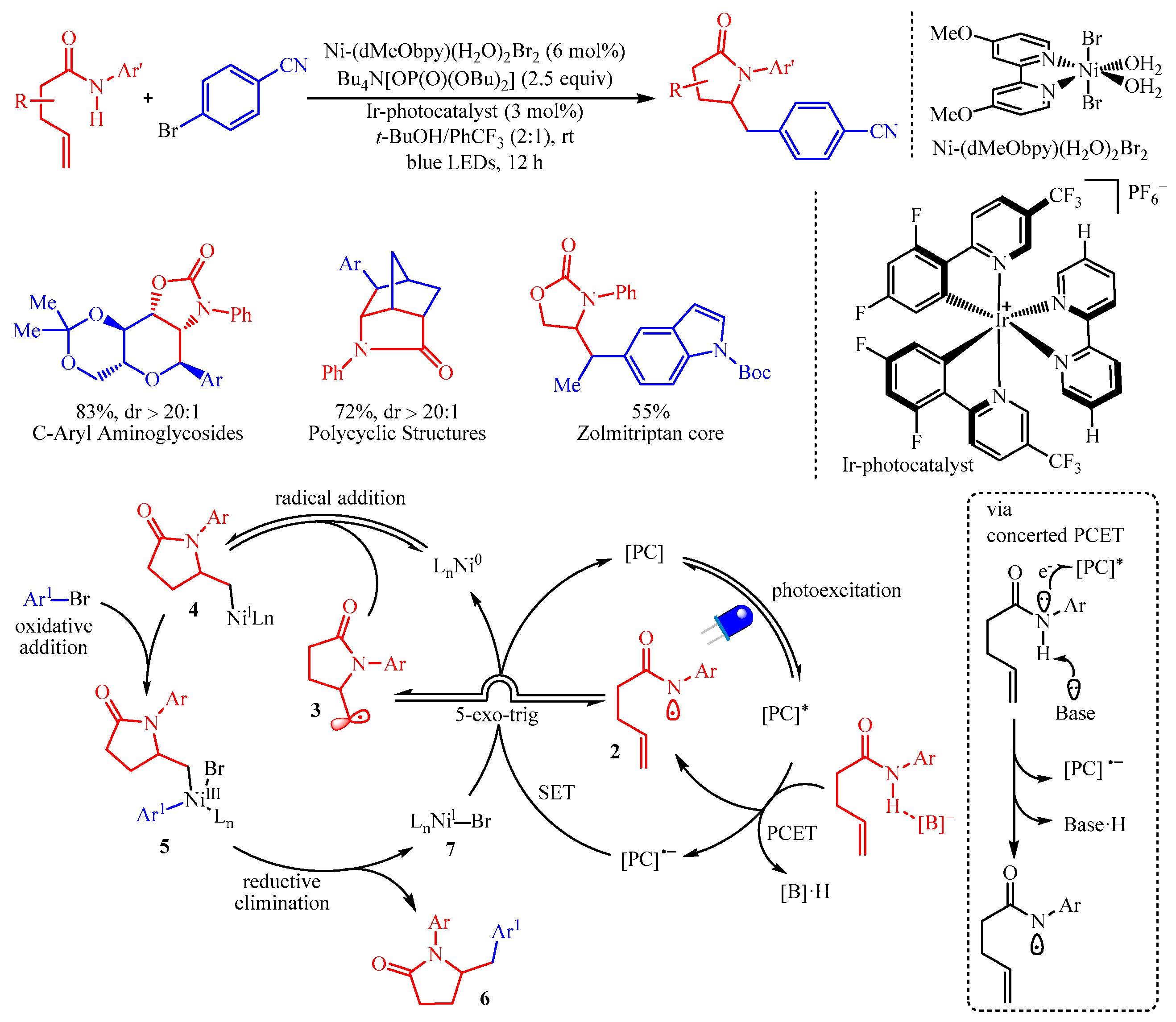 Catalysts 13 01056 sch008 550