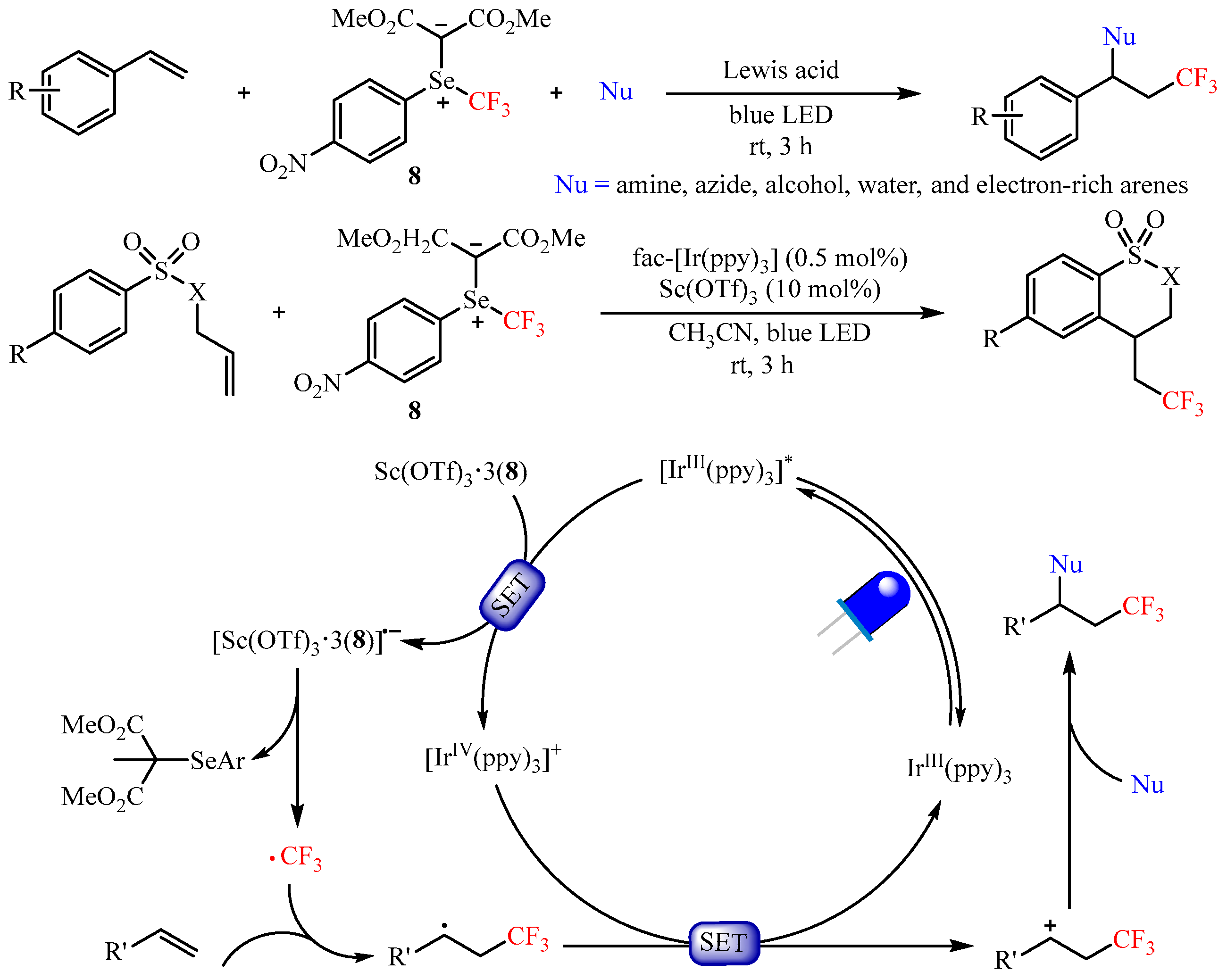 Catalysts 13 01056 sch011 550