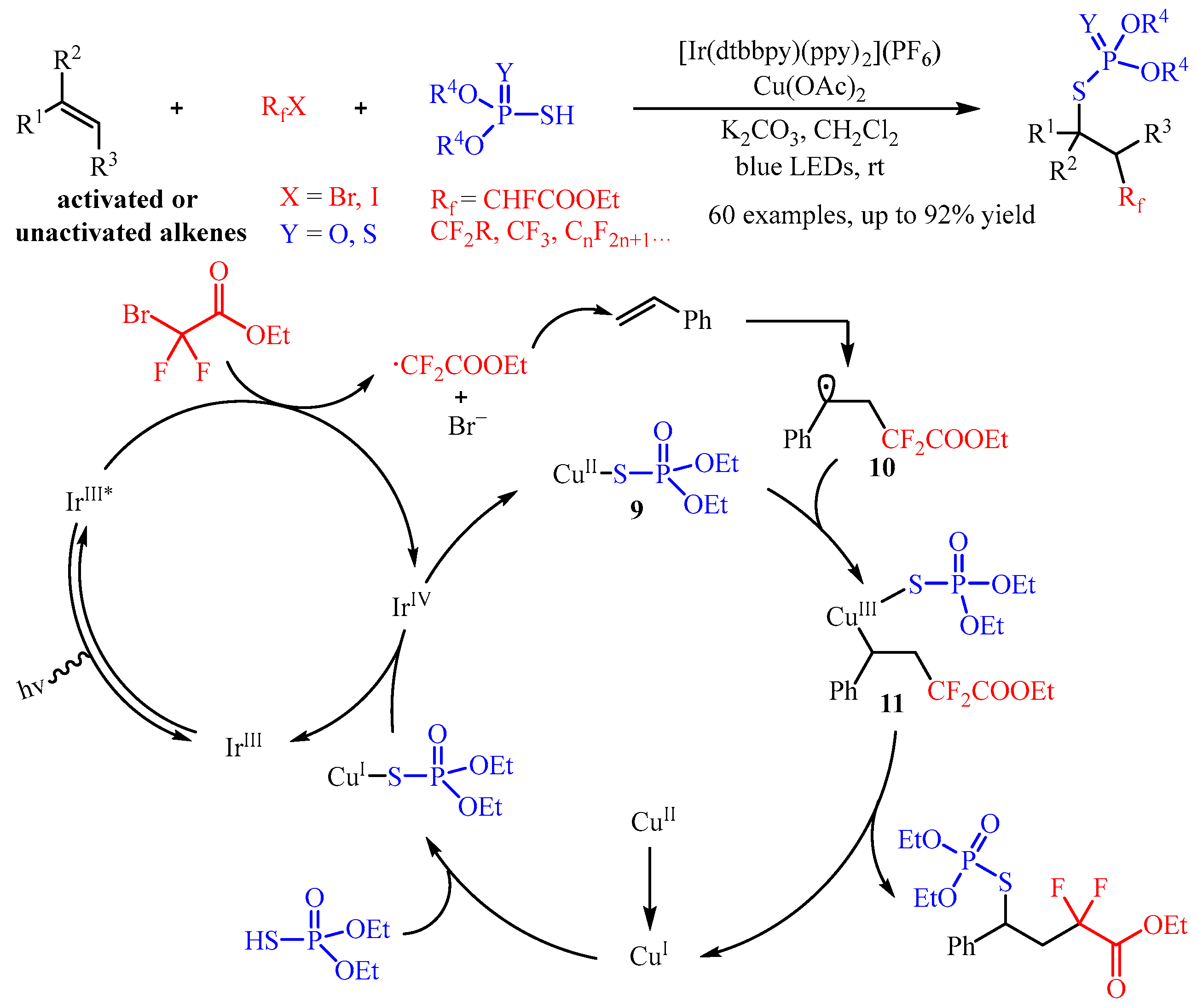 Catalysts 13 01056 sch013 550
