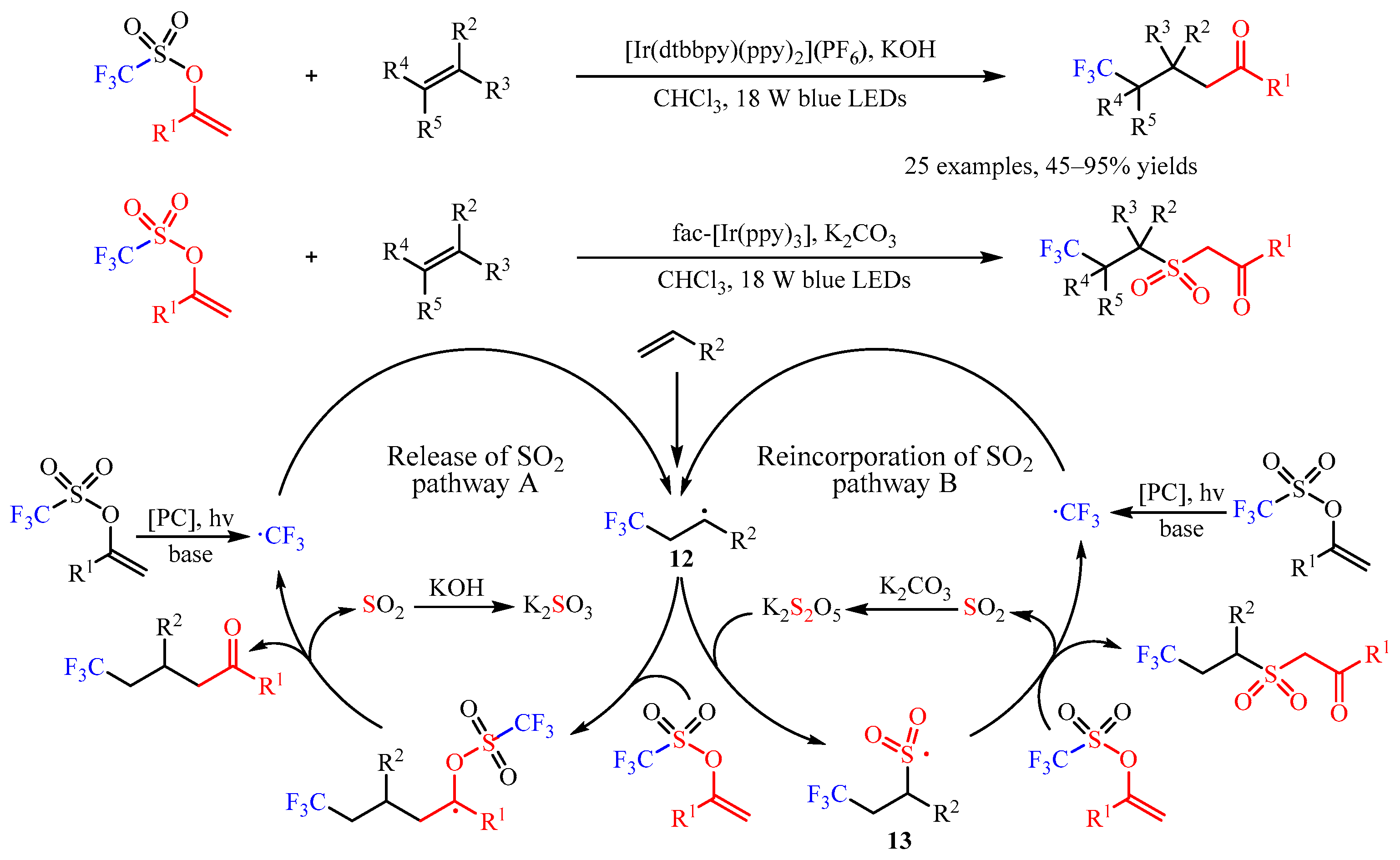 Catalysts 13 01056 sch014 550