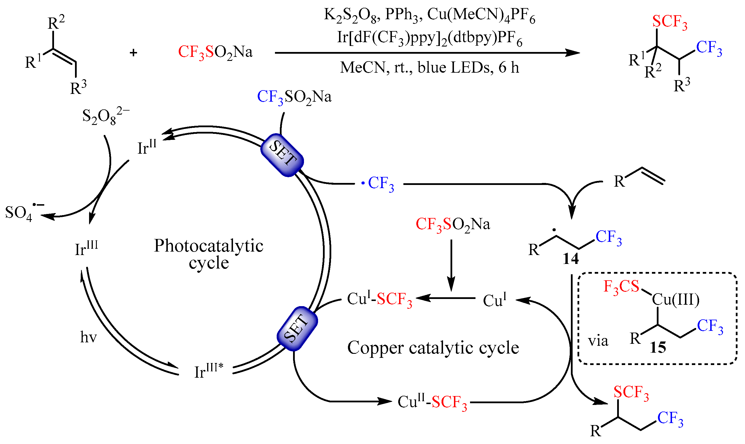 Catalysts 13 01056 sch016 550