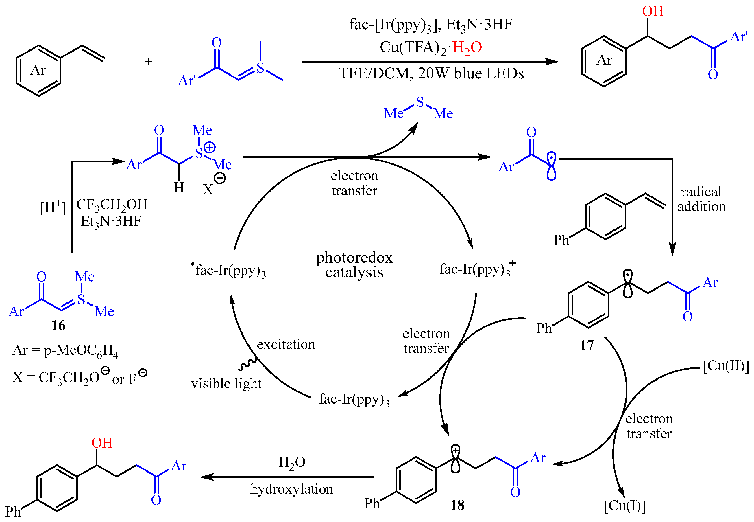 Catalysts 13 01056 sch020 550