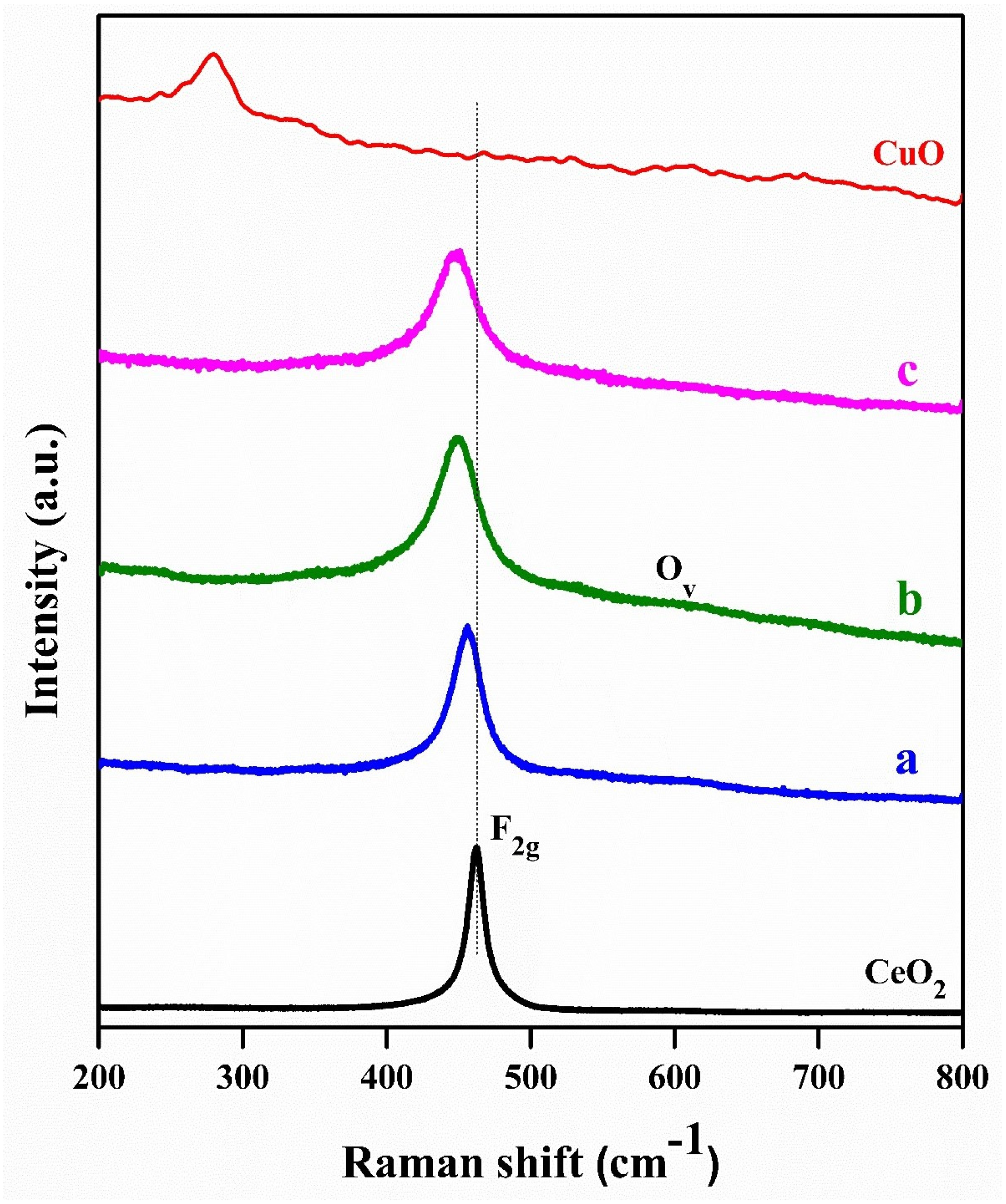 Catalysts 13 01058 g003