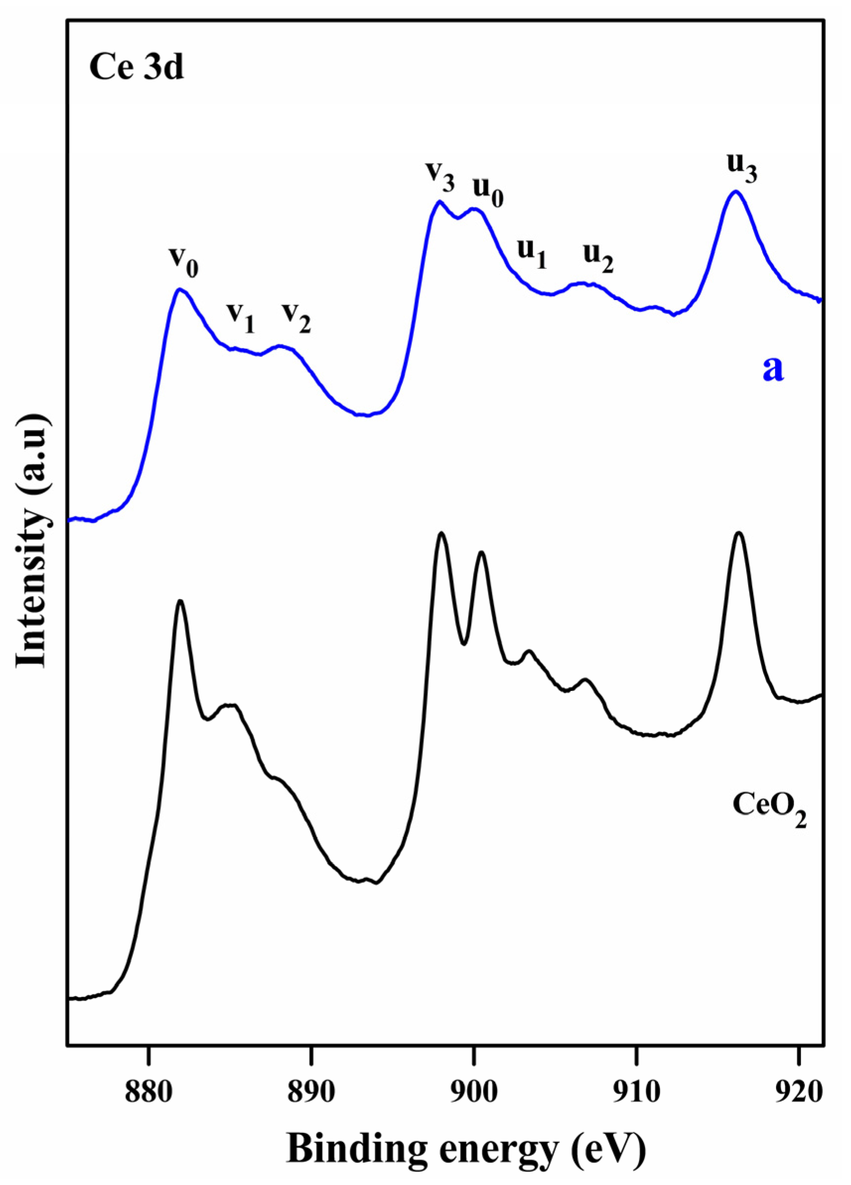 Catalysts 13 01058 g006