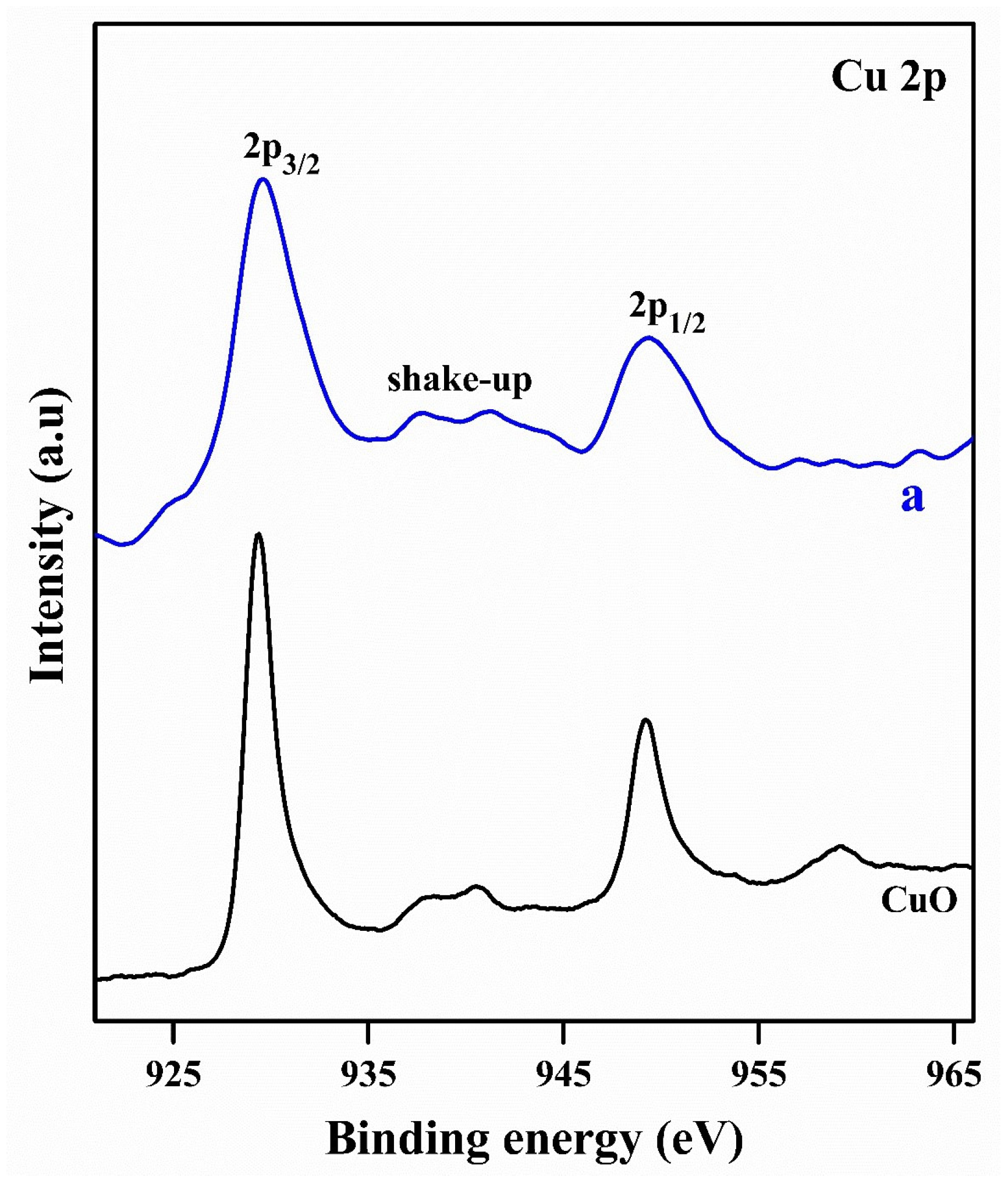 Catalysts 13 01058 g007