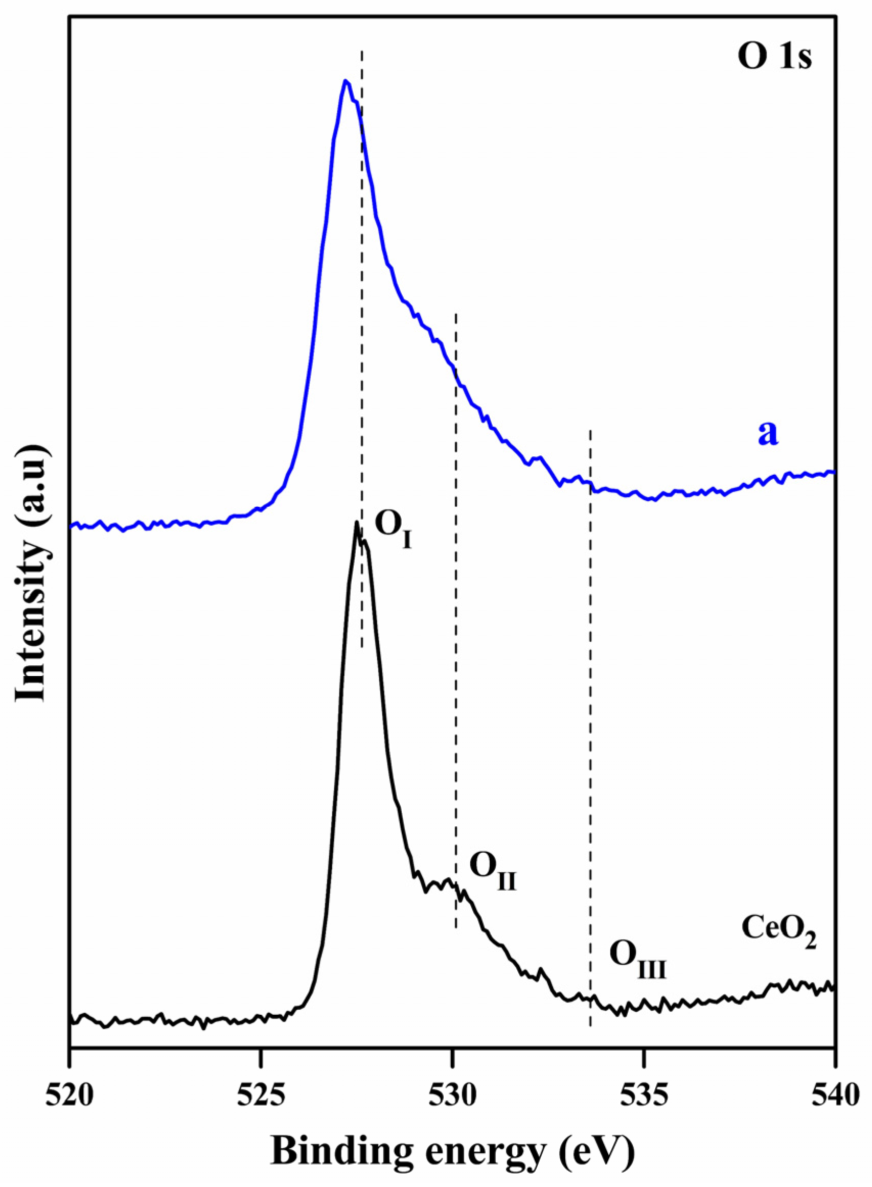 Catalysts 13 01058 g008