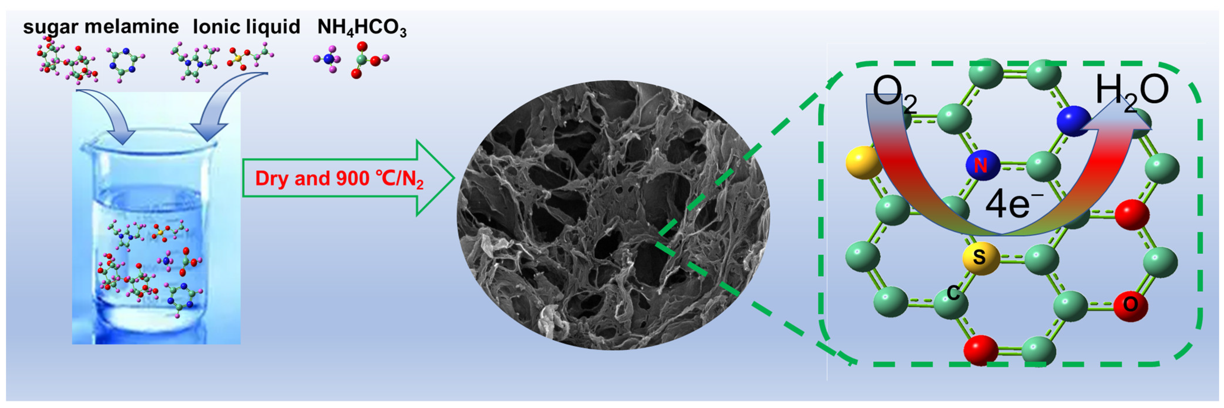 Catalysts 13 01059 g007 Catalysts 13 01059 g007