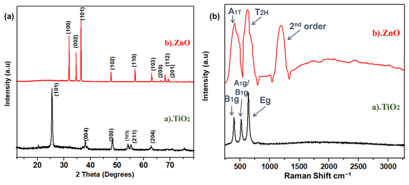 Catalysts 13 01062 g001 550