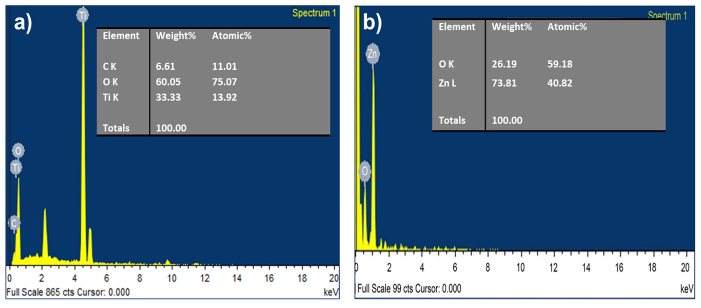 Catalysts 13 01062 g003 550