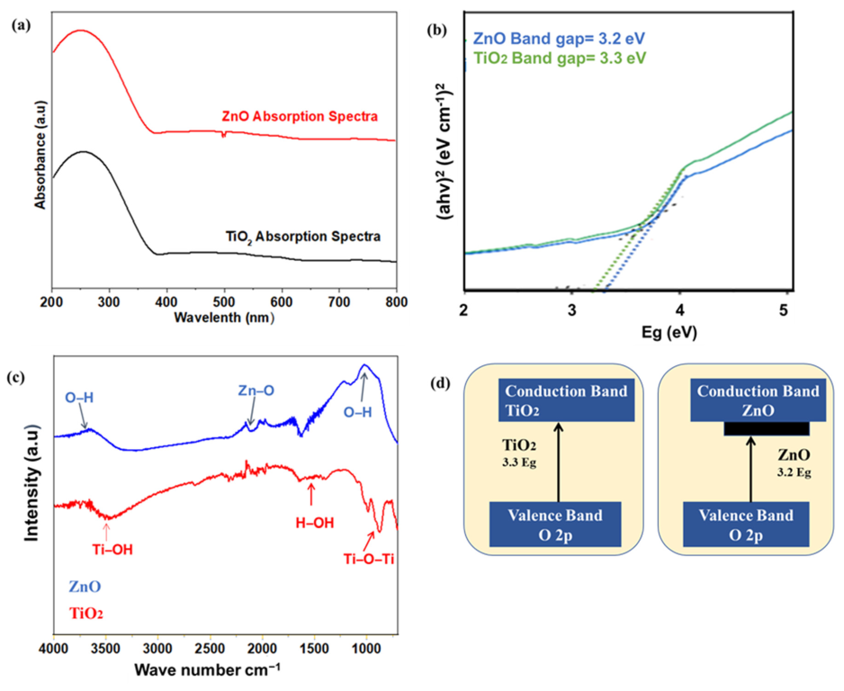 Catalysts 13 01062 g004 550