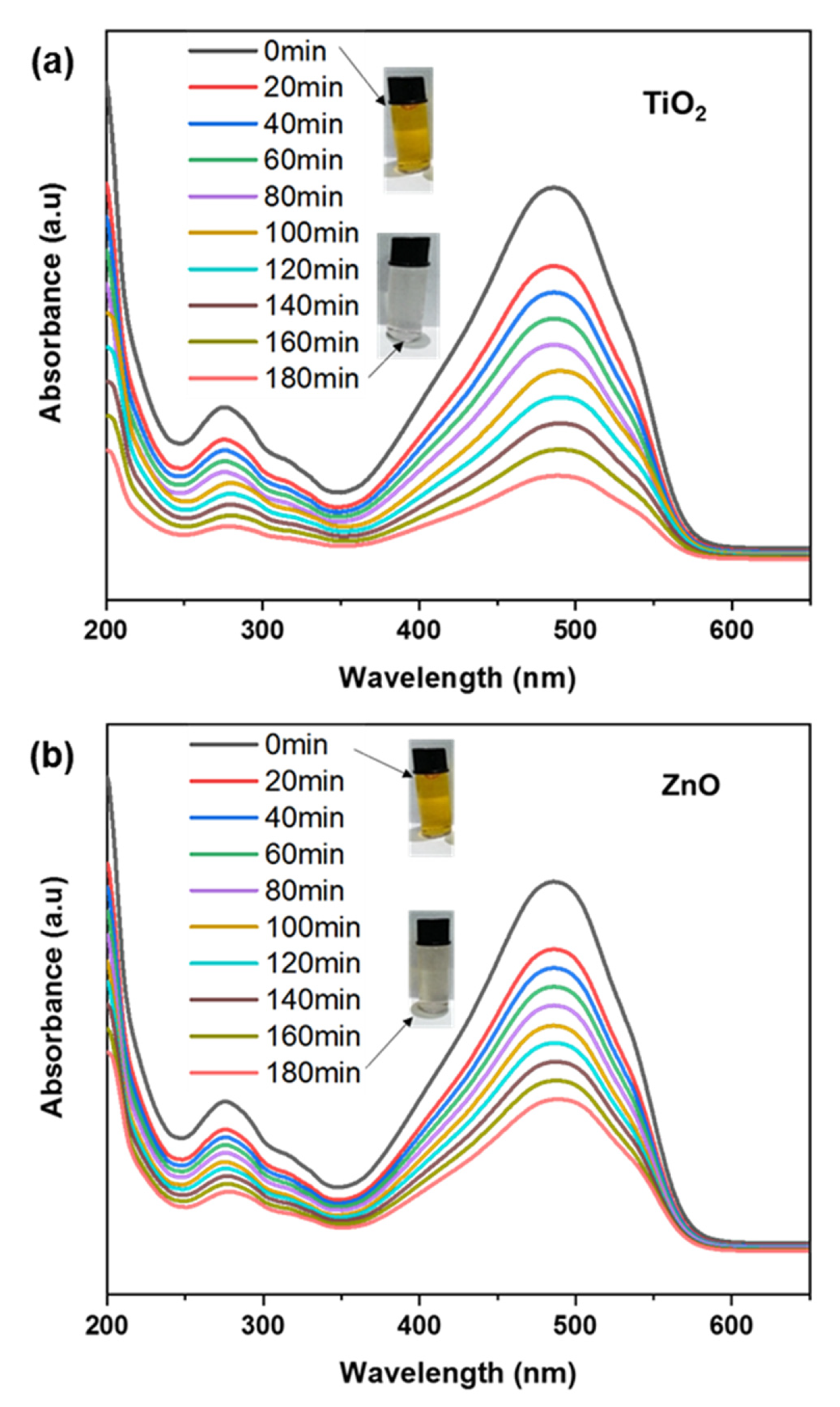 Catalysts 13 01062 g008 550
