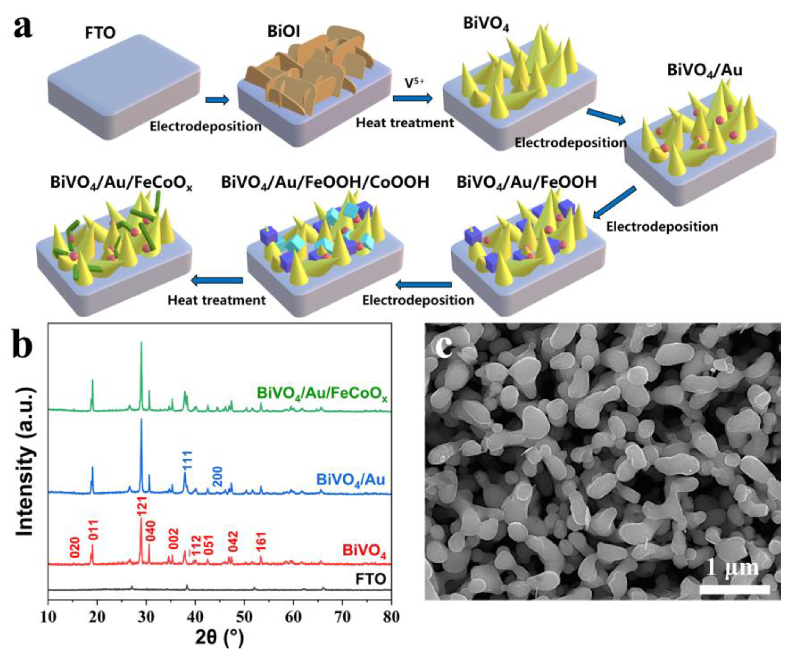 Catalysts 13 01063 g001 550