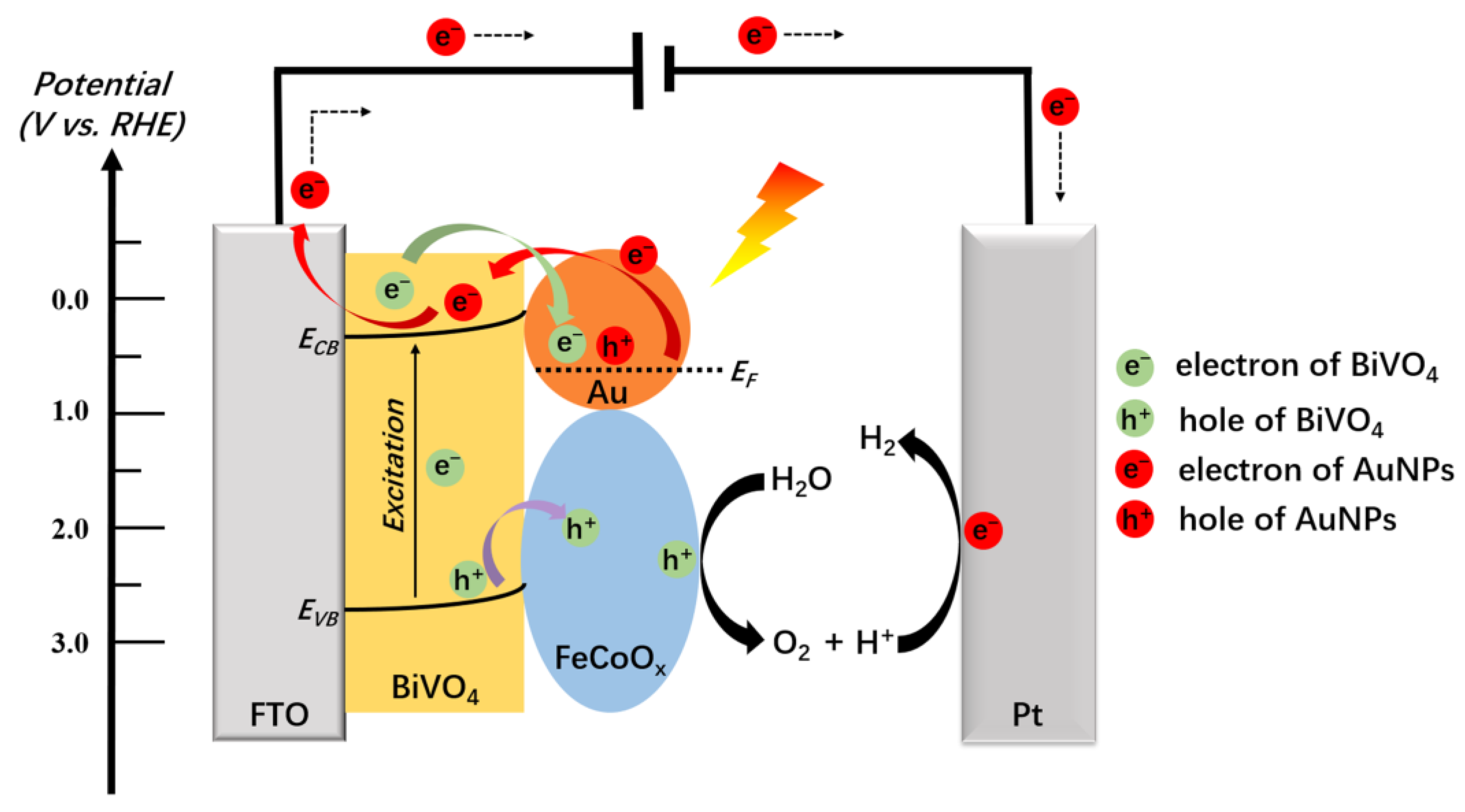 Catalysts 13 01063 g006 550
