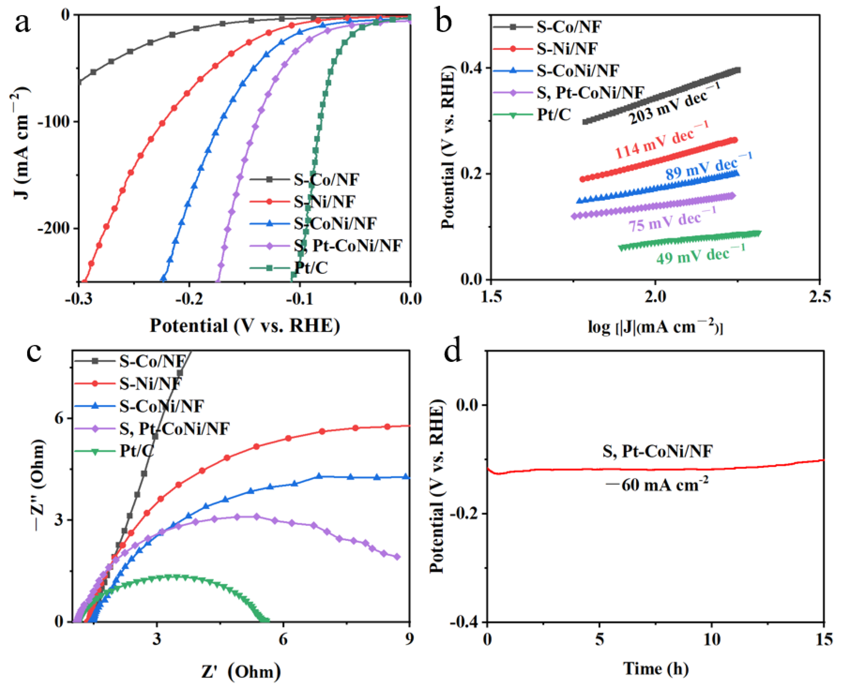 Catalysts 13 01064 g003