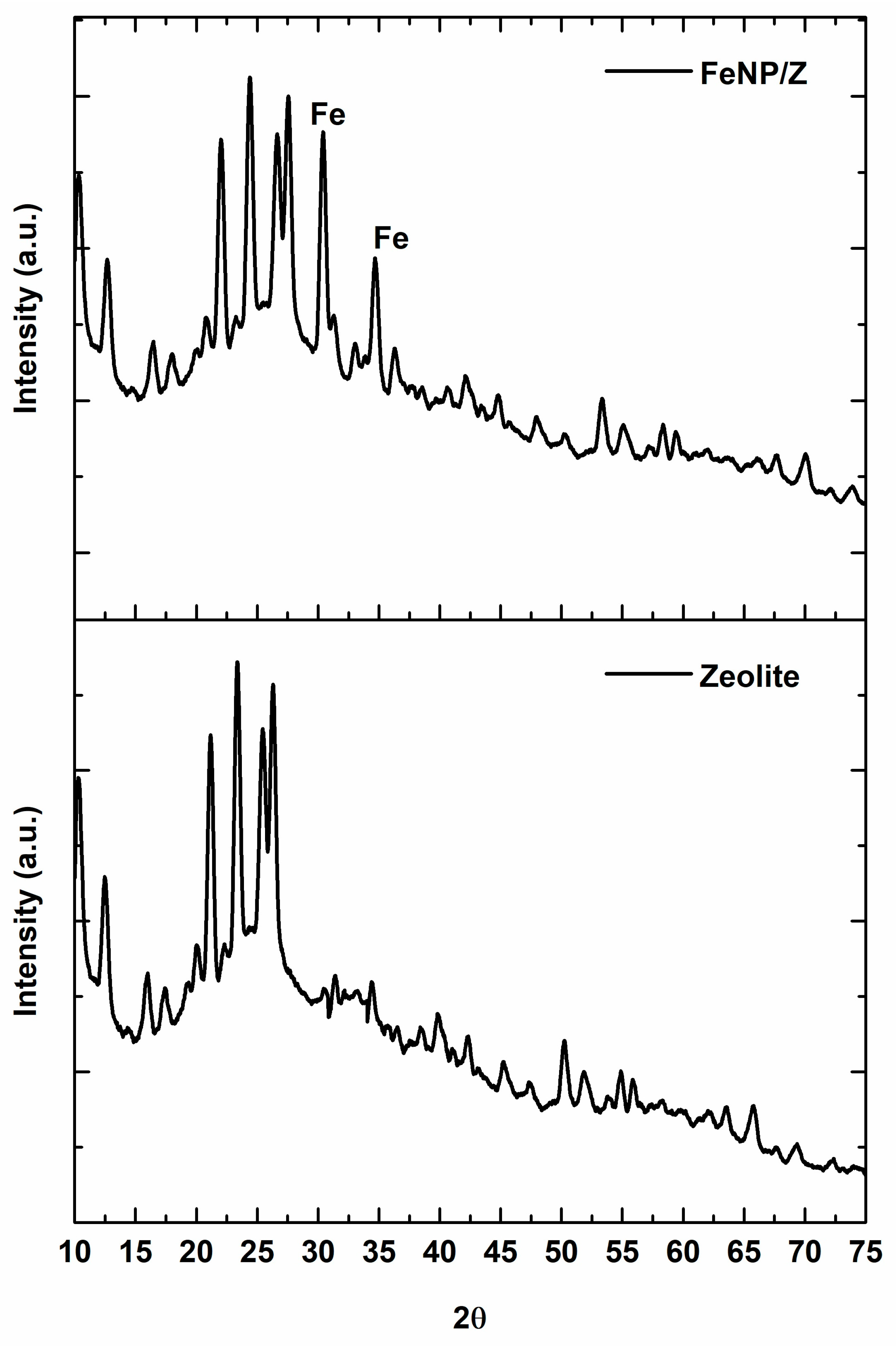 Catalysts 13 01065 g001