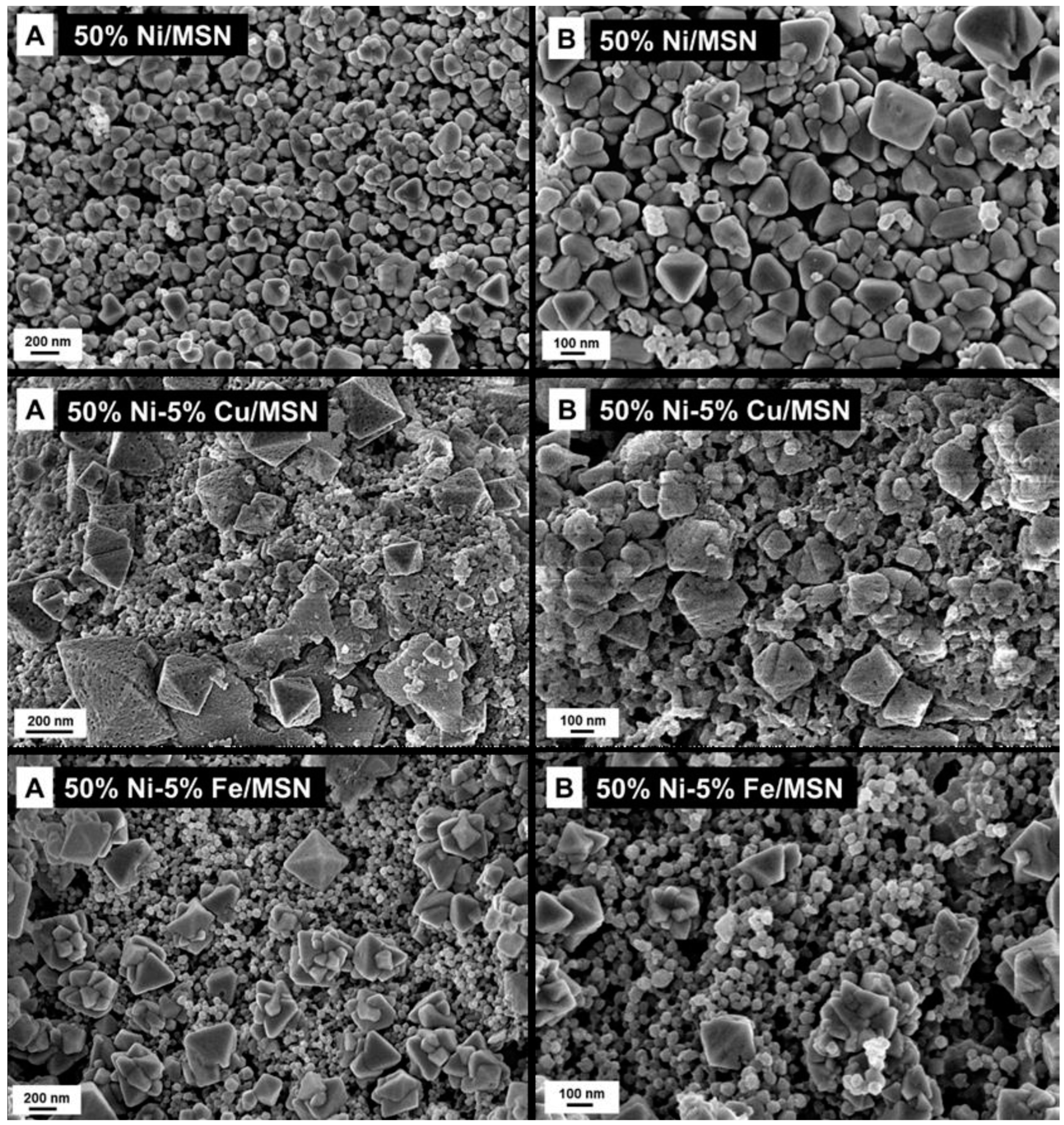 Catalysts 13 01067 g003